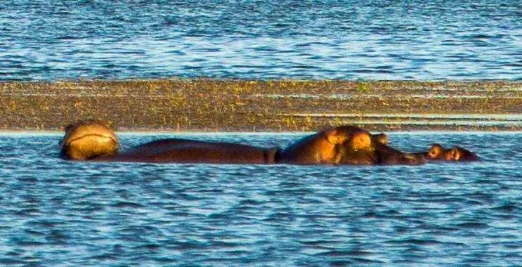 Lake view in Asmorein Hotel