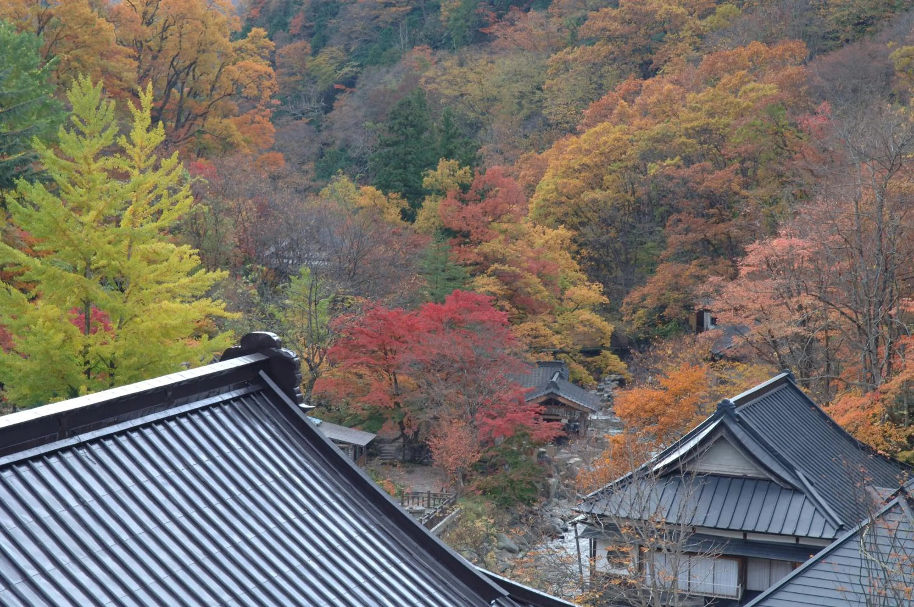 Natural landscape in Takaragawa Onsen Ousenkaku