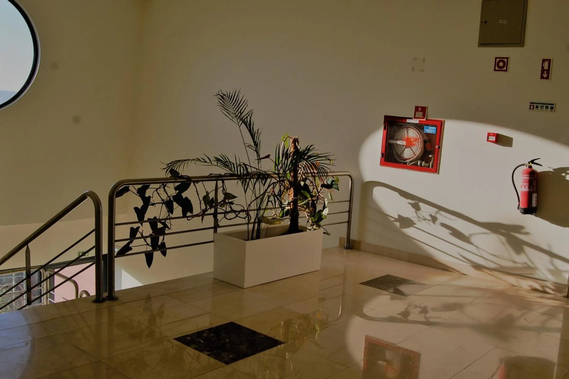 Area and facilities in Quinta do Louredo Hotel