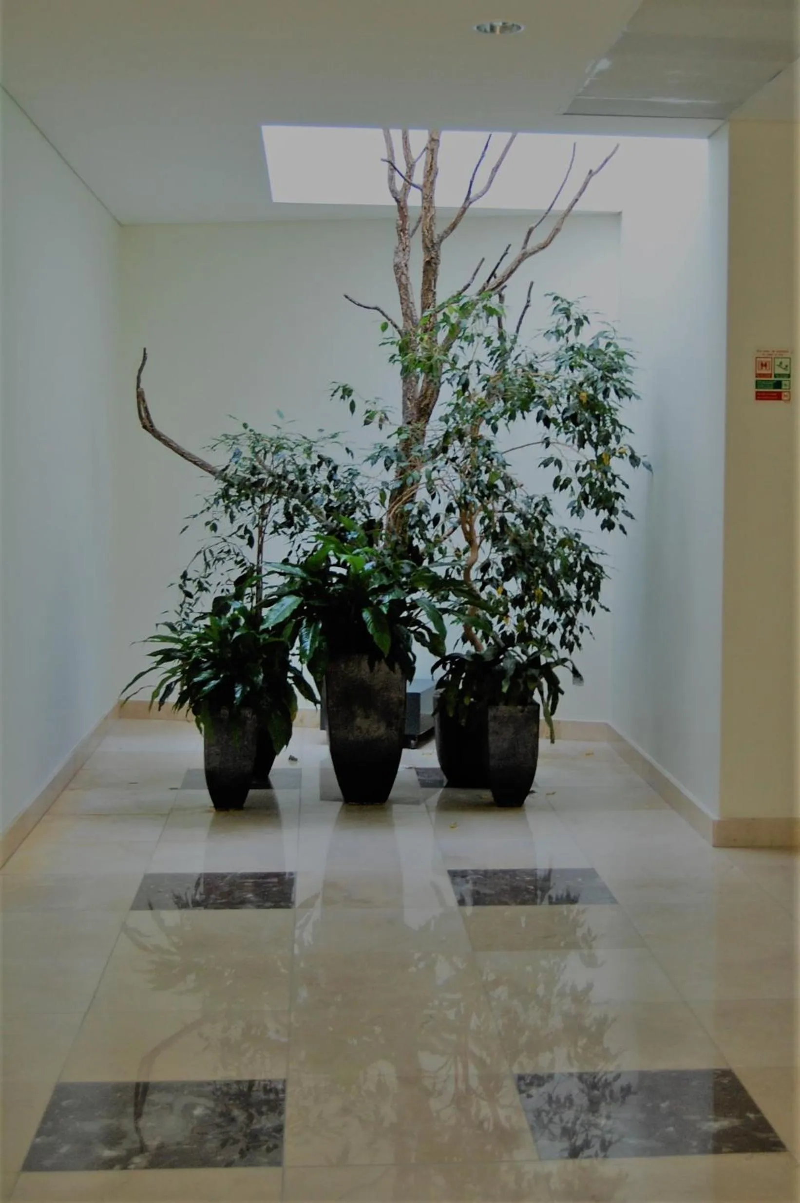 Decorative detail in Quinta do Louredo Hotel