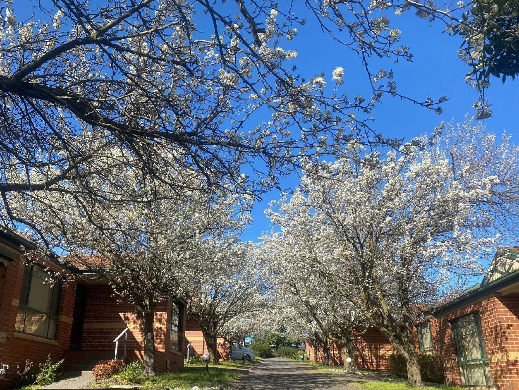 Mount Waverley Townhouses