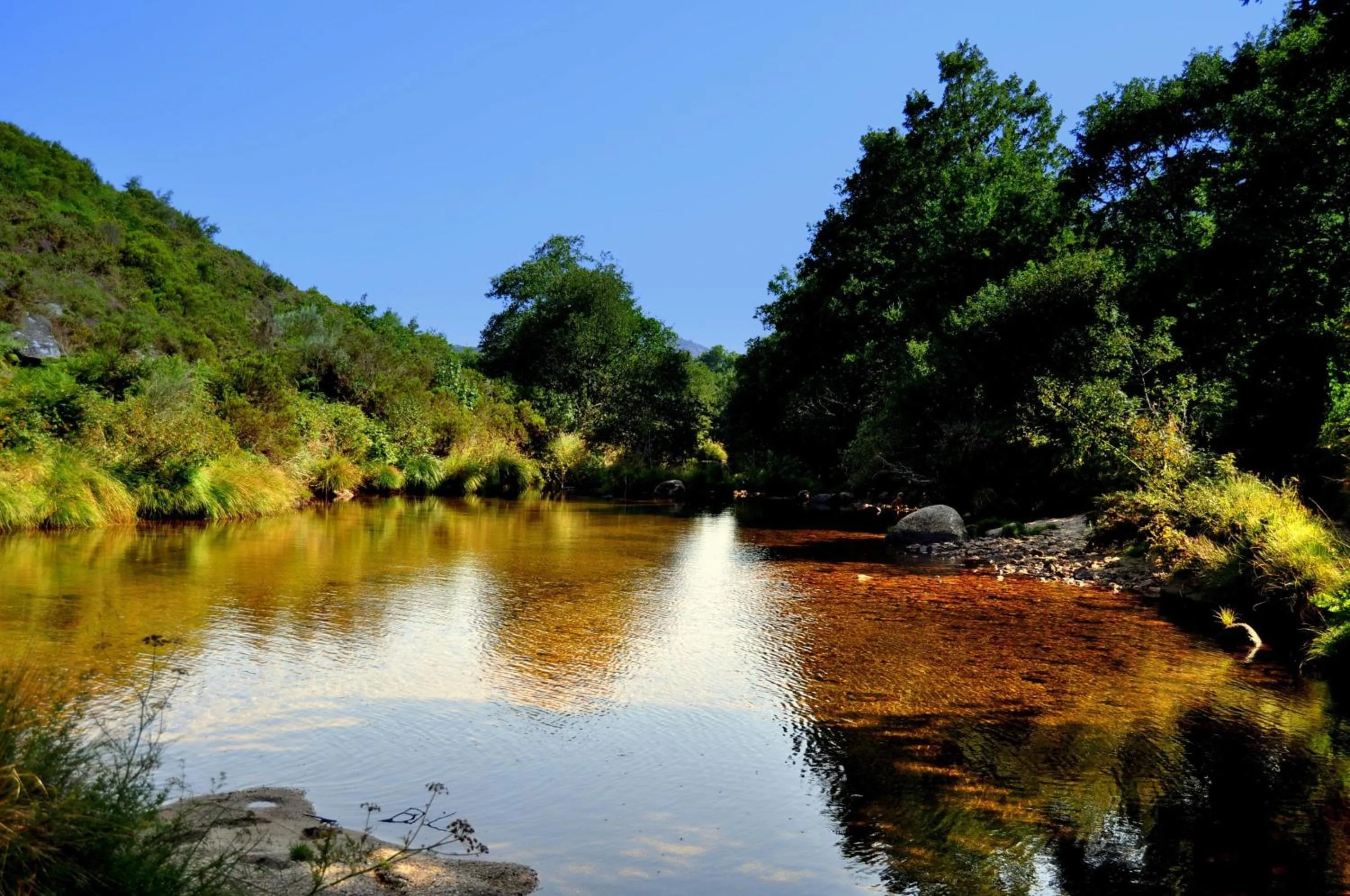 Area and facilities in Hotel Castrum Villae by Walk Hotels