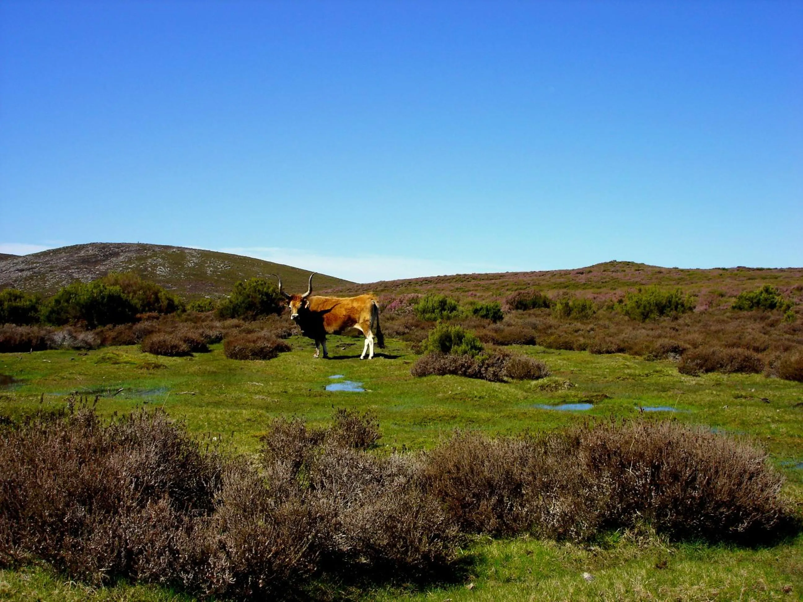 Area and facilities in Hotel Castrum Villae by Walk Hotels