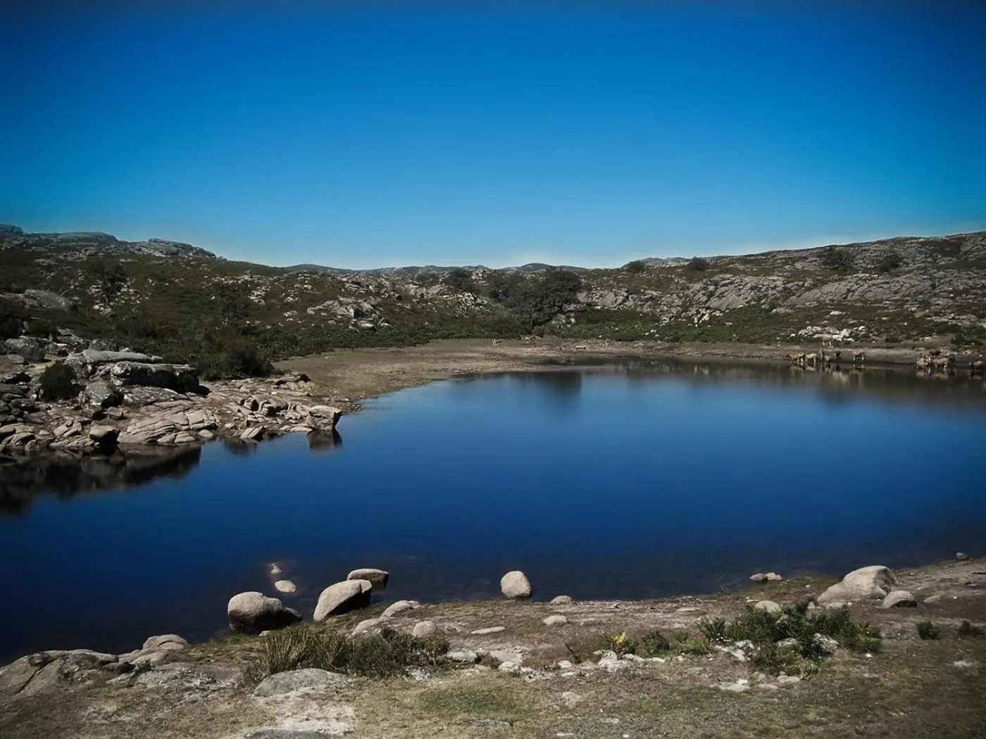Natural landscape in Hotel Castrum Villae by Walk Hotels