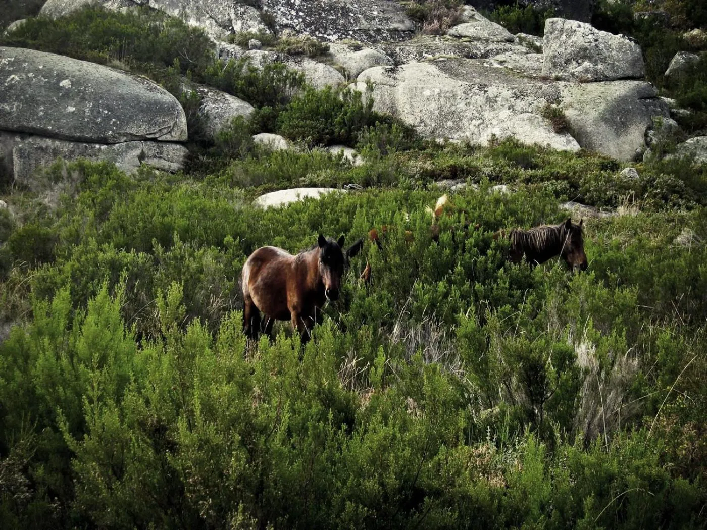 Natural landscape in Hotel Castrum Villae by Walk Hotels