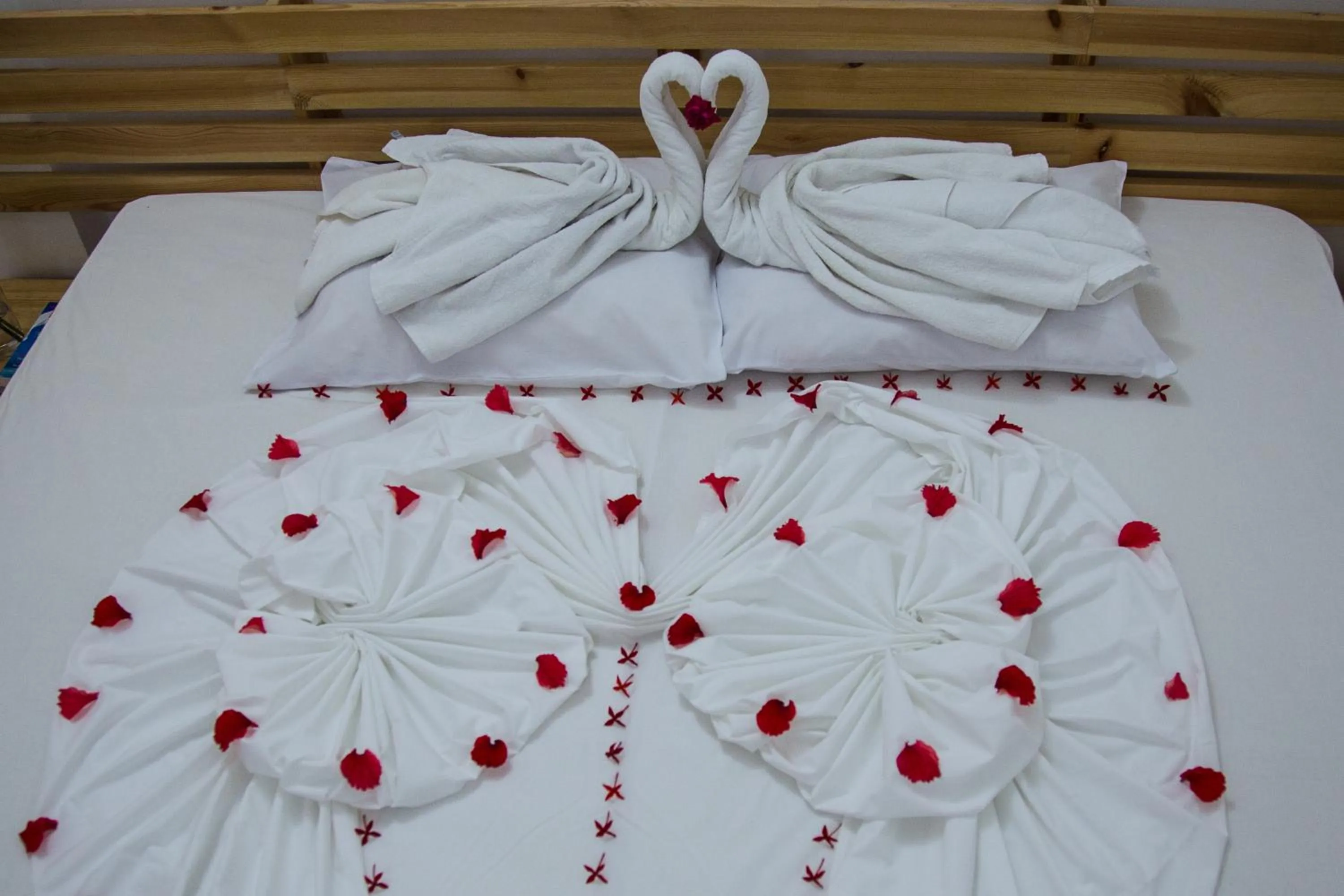 Bedroom, Bed in Faza View Inn, Maafushi