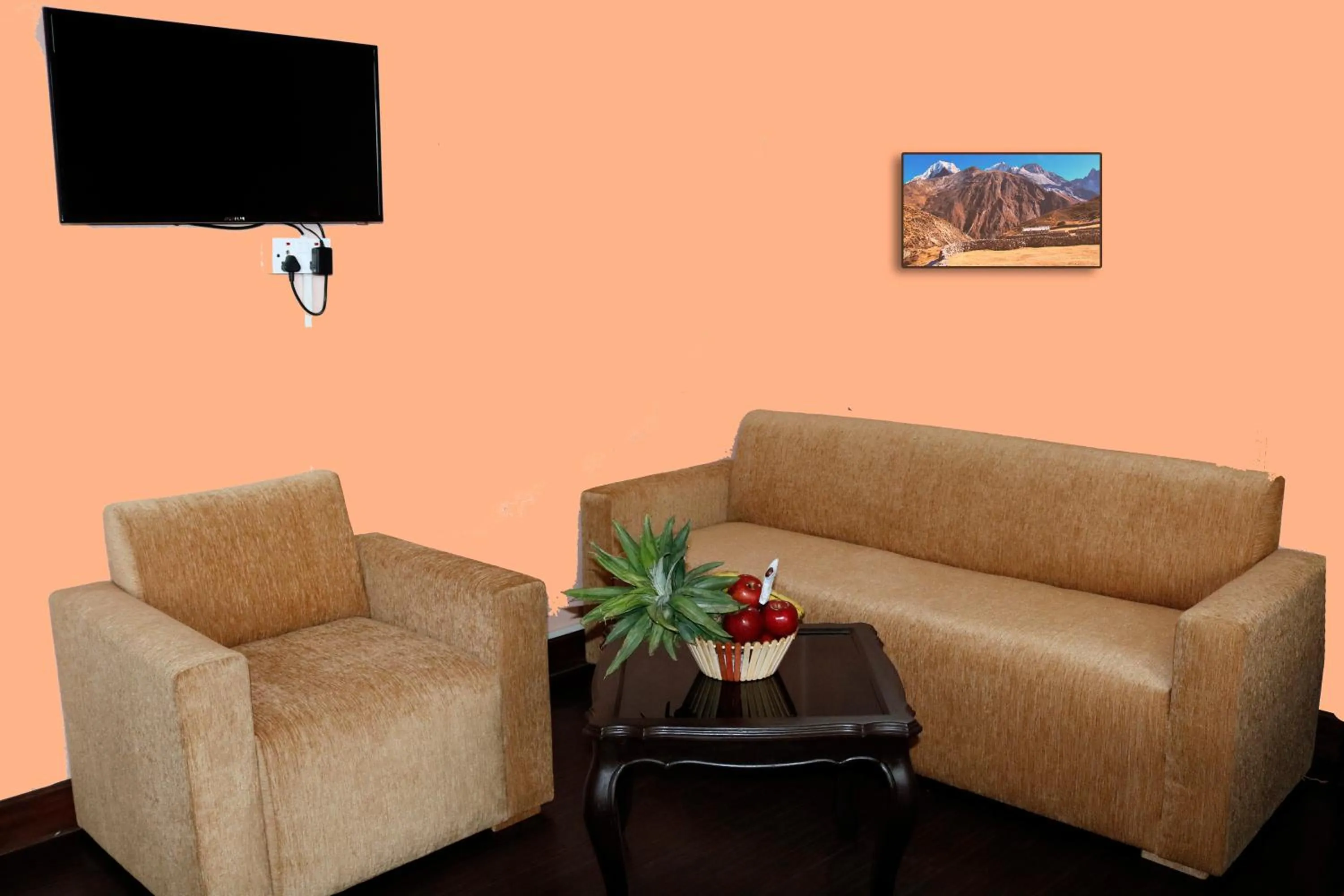 TV and multimedia in Hotel Nepalaya