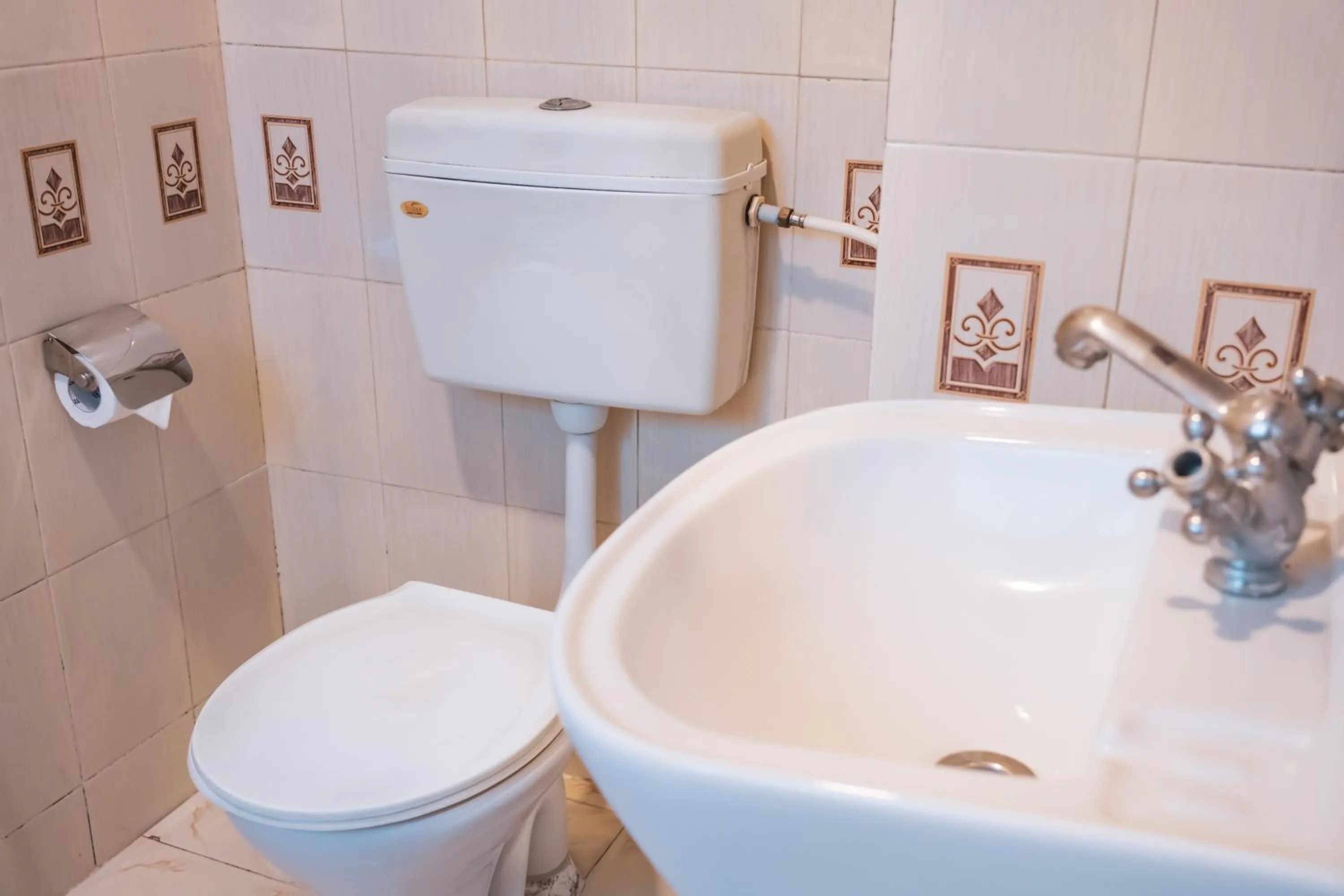 Toilet in Hotel Nepalaya