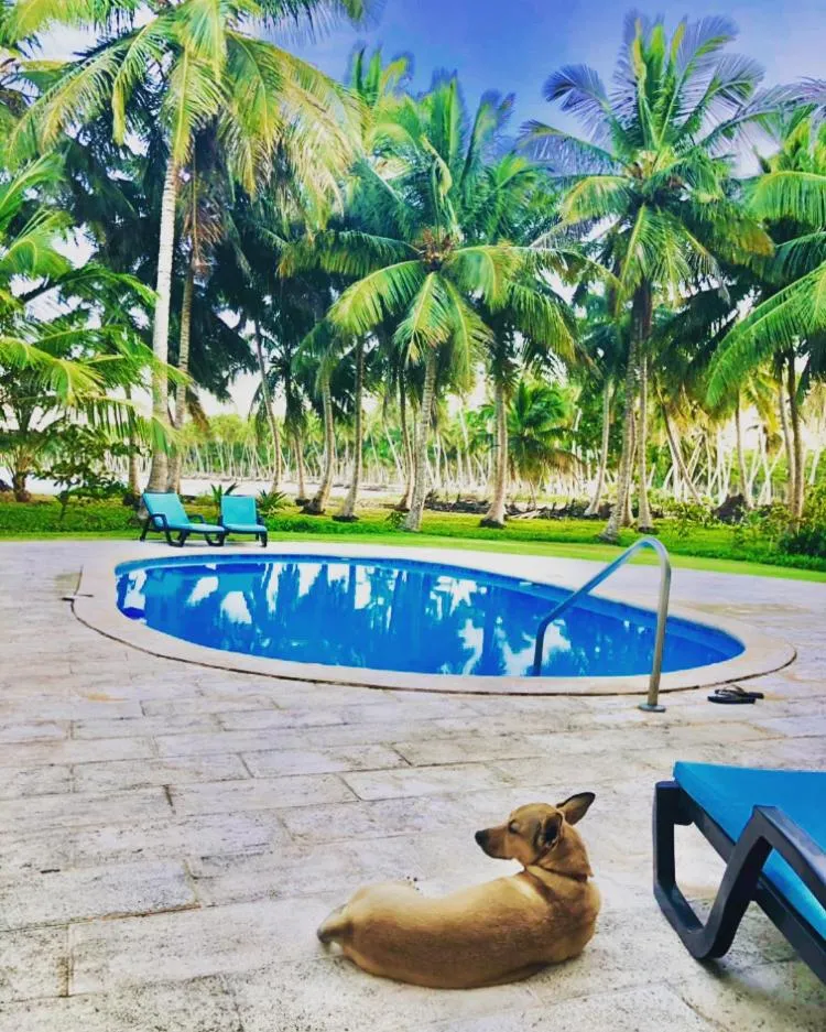 Pool view in Baoba Breeze Bed & Breakfast- beachfront paradise