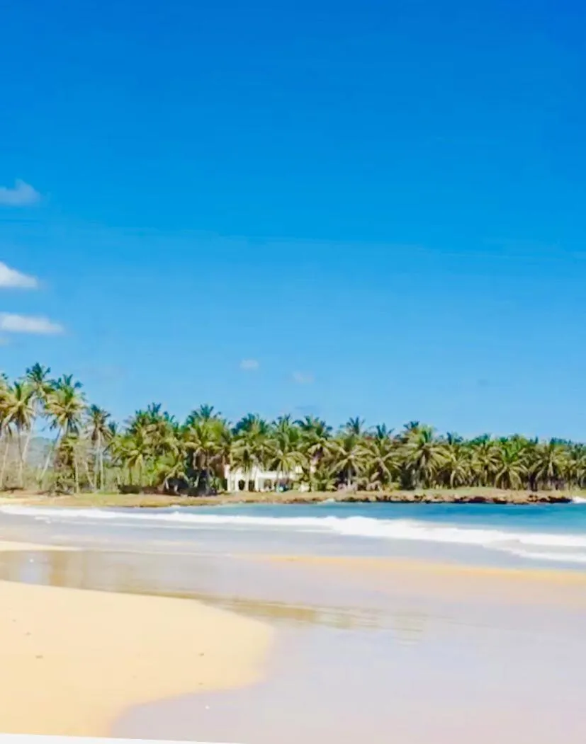 Beach in Baoba Breeze Bed & Breakfast- beachfront paradise