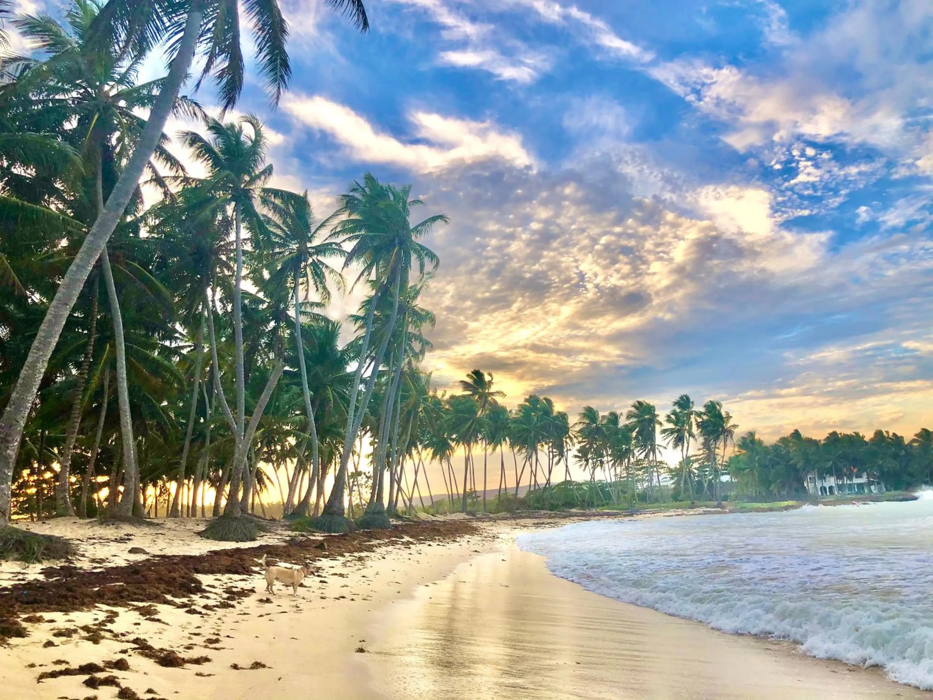 Natural landscape in Baoba Breeze Bed & Breakfast- beachfront paradise