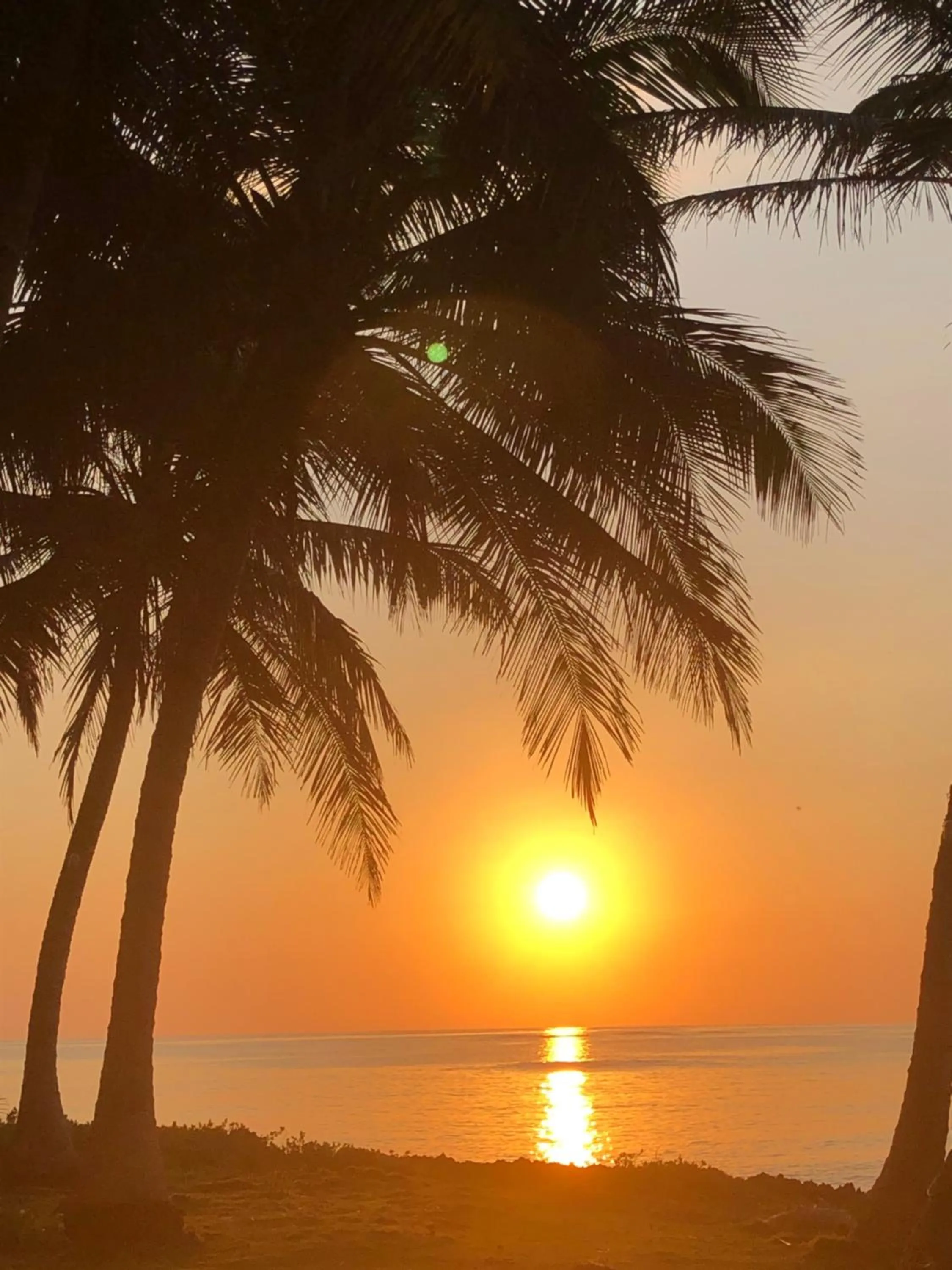 Sunrise in Baoba Breeze Bed & Breakfast- beachfront paradise