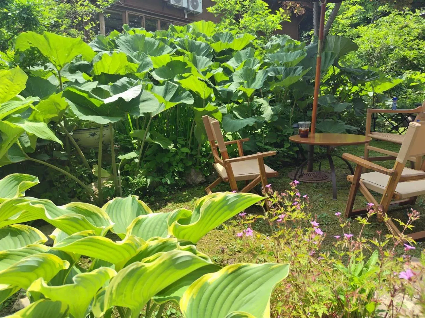 Garden view in Yamagata Zao Pension Apron Stage