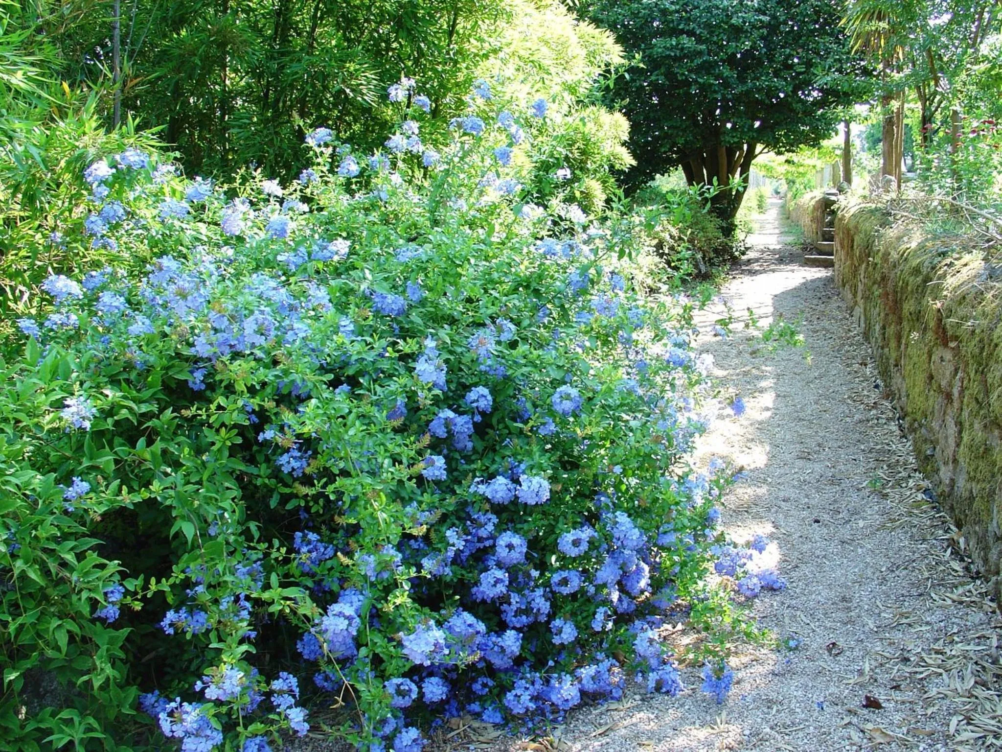 Decorative detail in Hotel Convento dos Capuchos