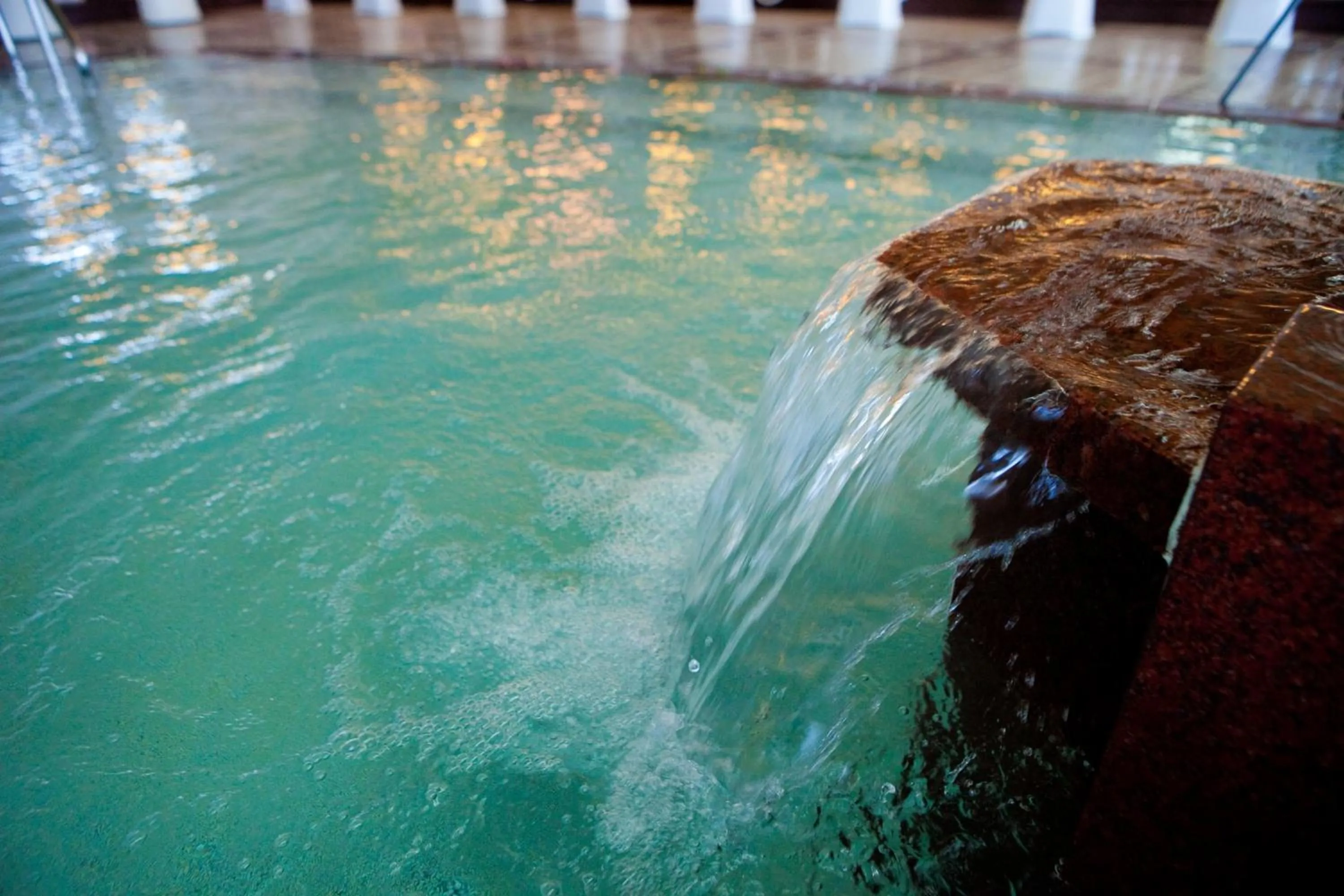 Hot Spring Bath, Other Animals in Beppuwan Royal Hotel