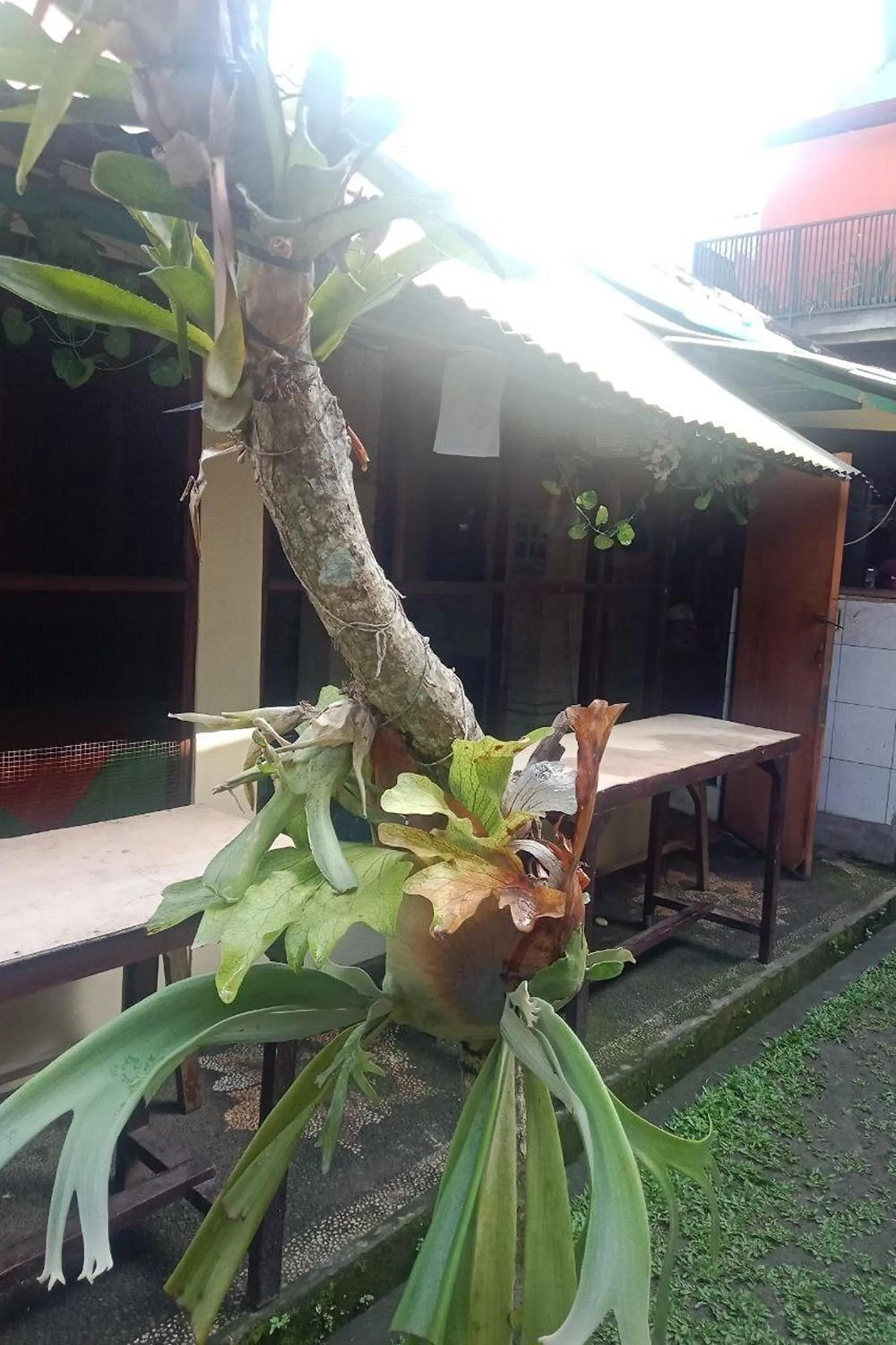 Area and facilities in Downtown Monkey Forest Hostel