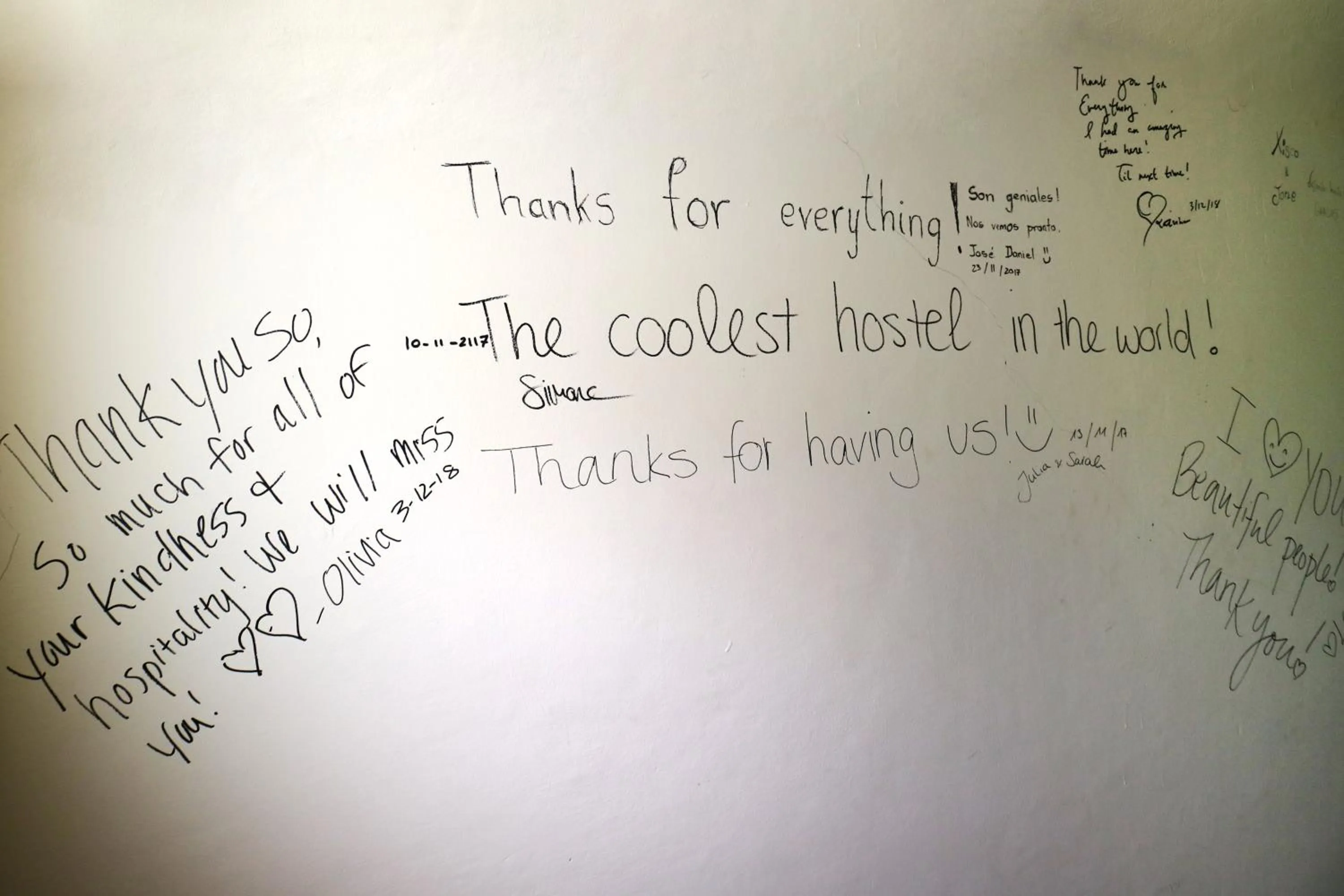 Decorative detail in Downtown Monkey Forest Hostel