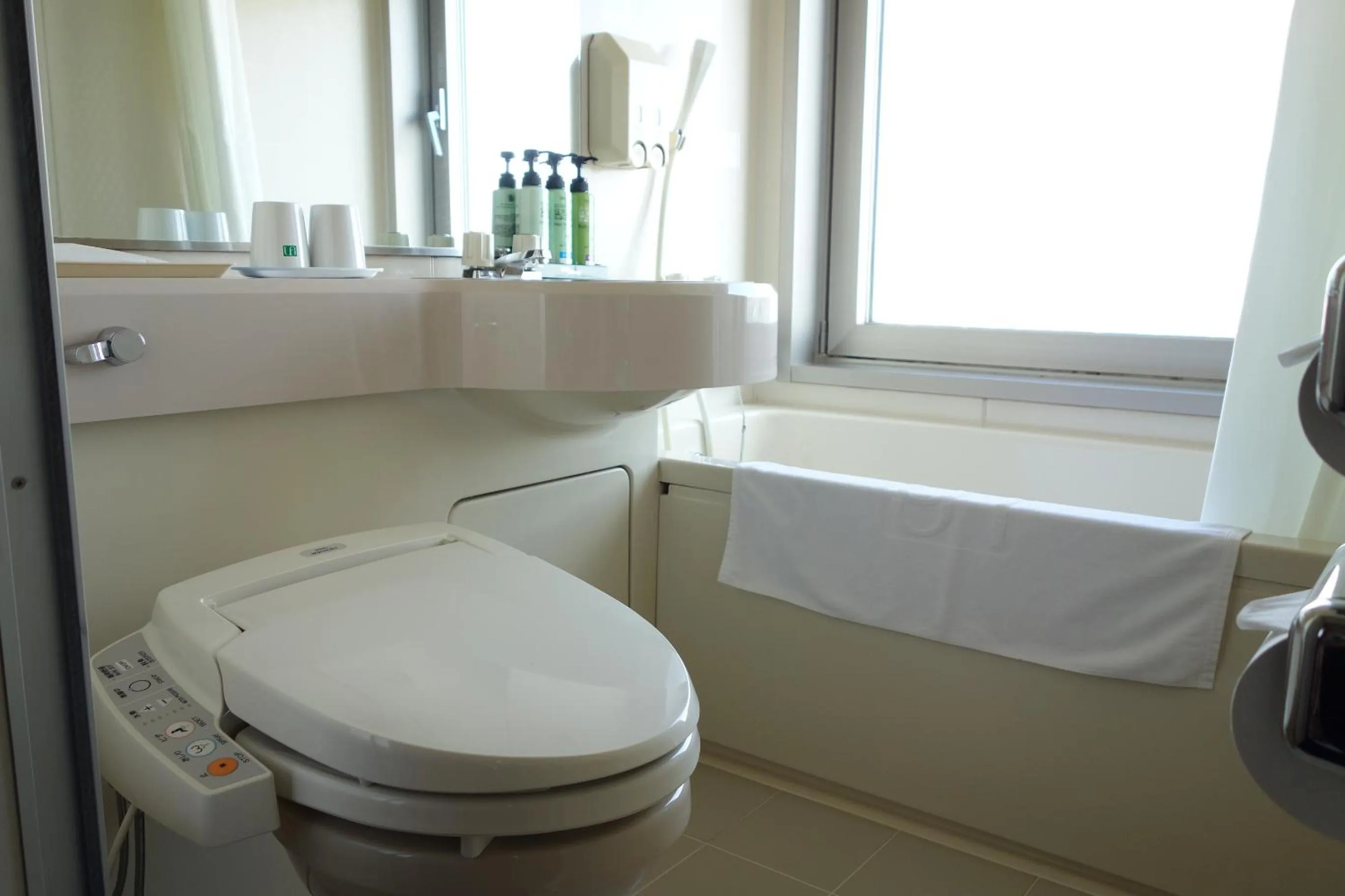 Bathroom in Hotel New Green Tsubame Sanjo