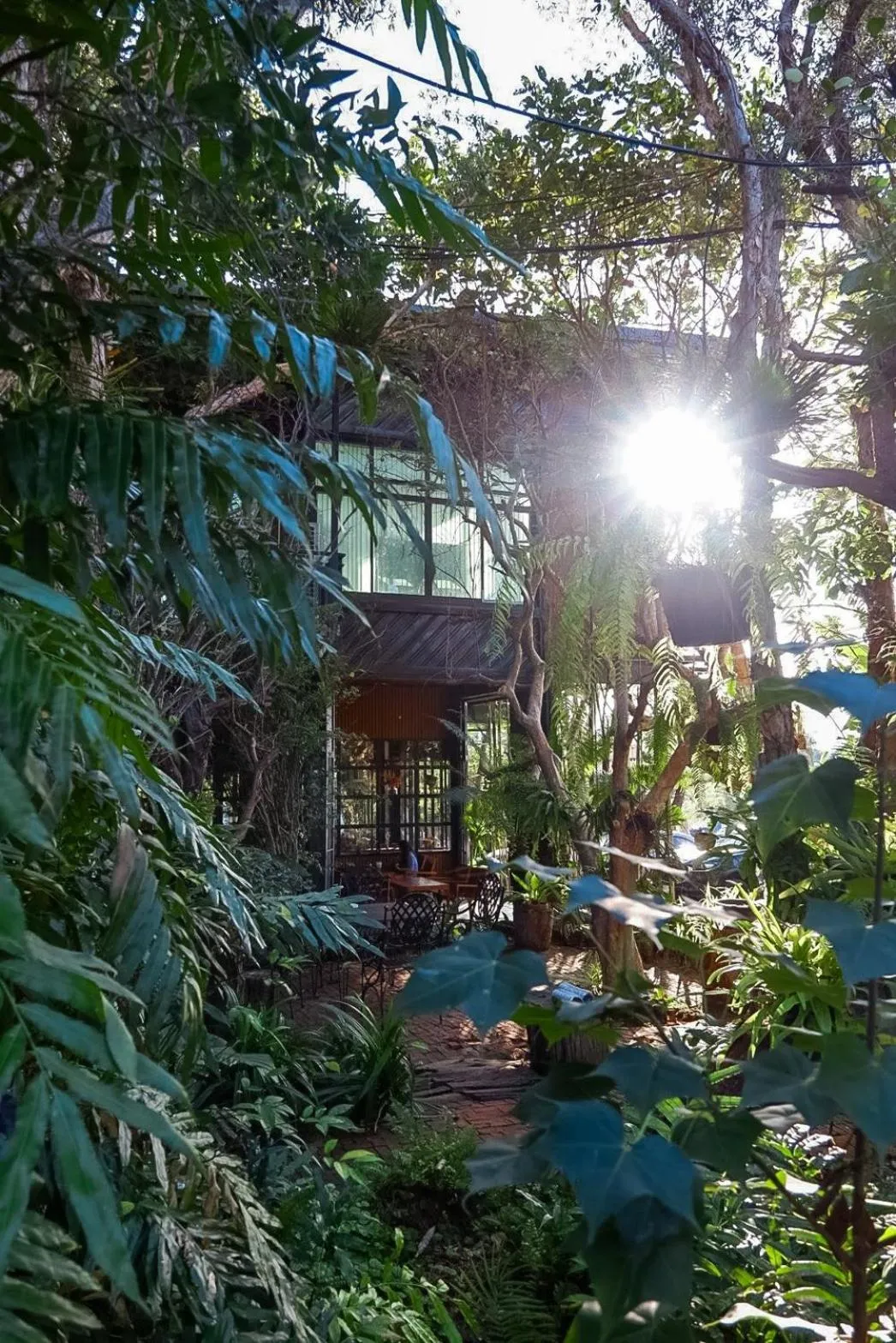 Garden in IP Plus Pool Villa Pattaya