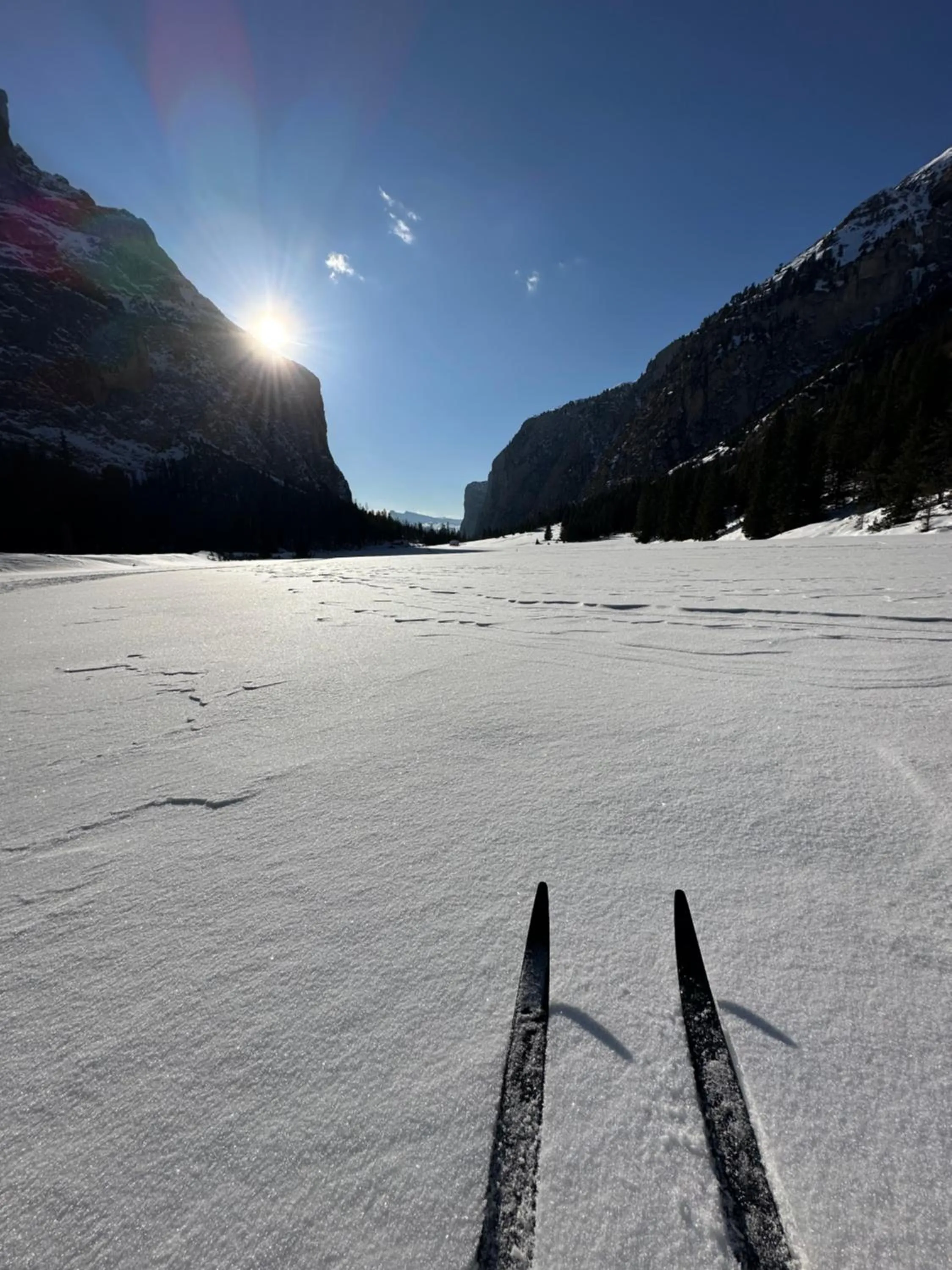 Skiing in Garnì Villa Erna