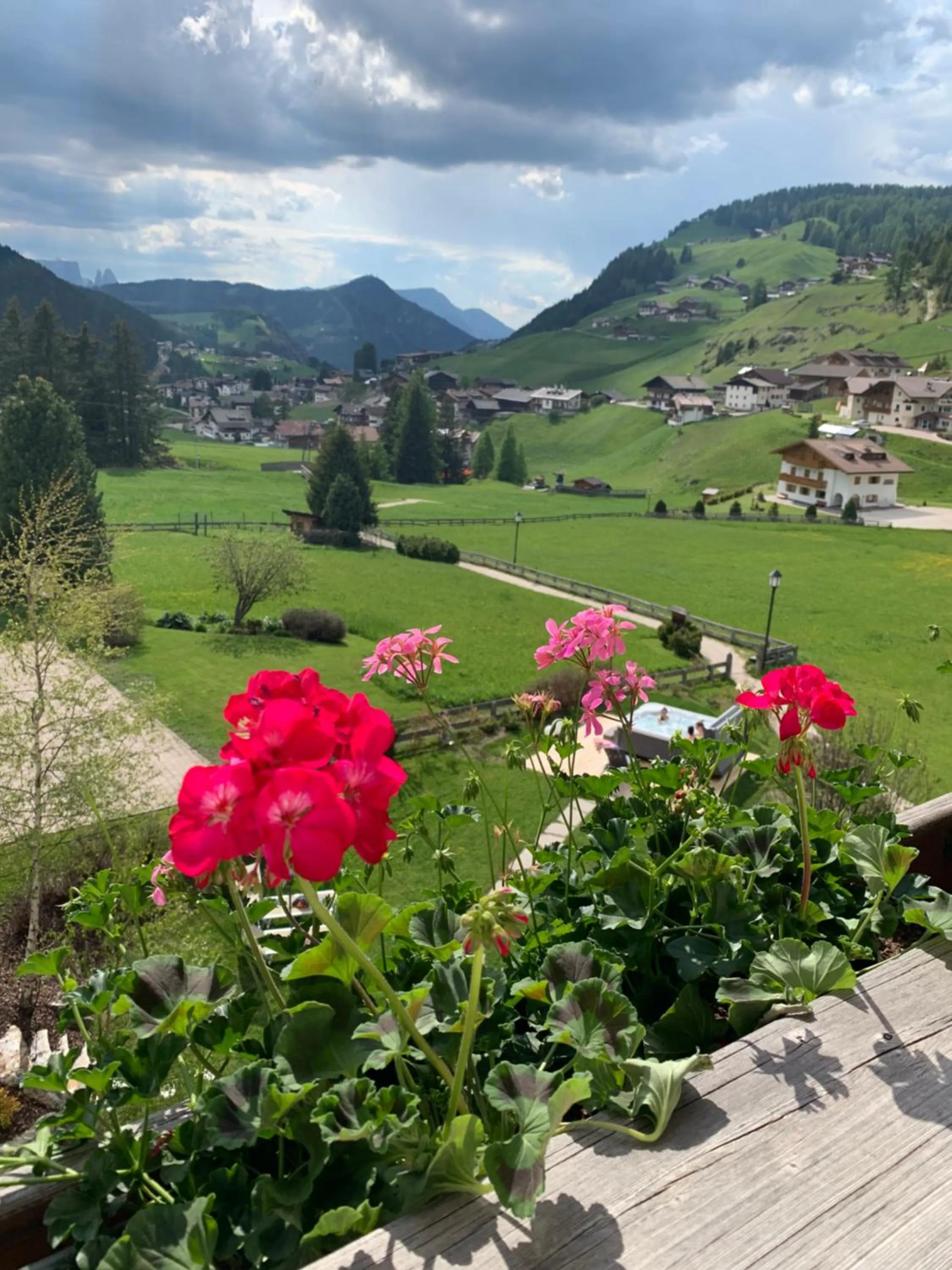 Mountain view in Garnì Villa Erna