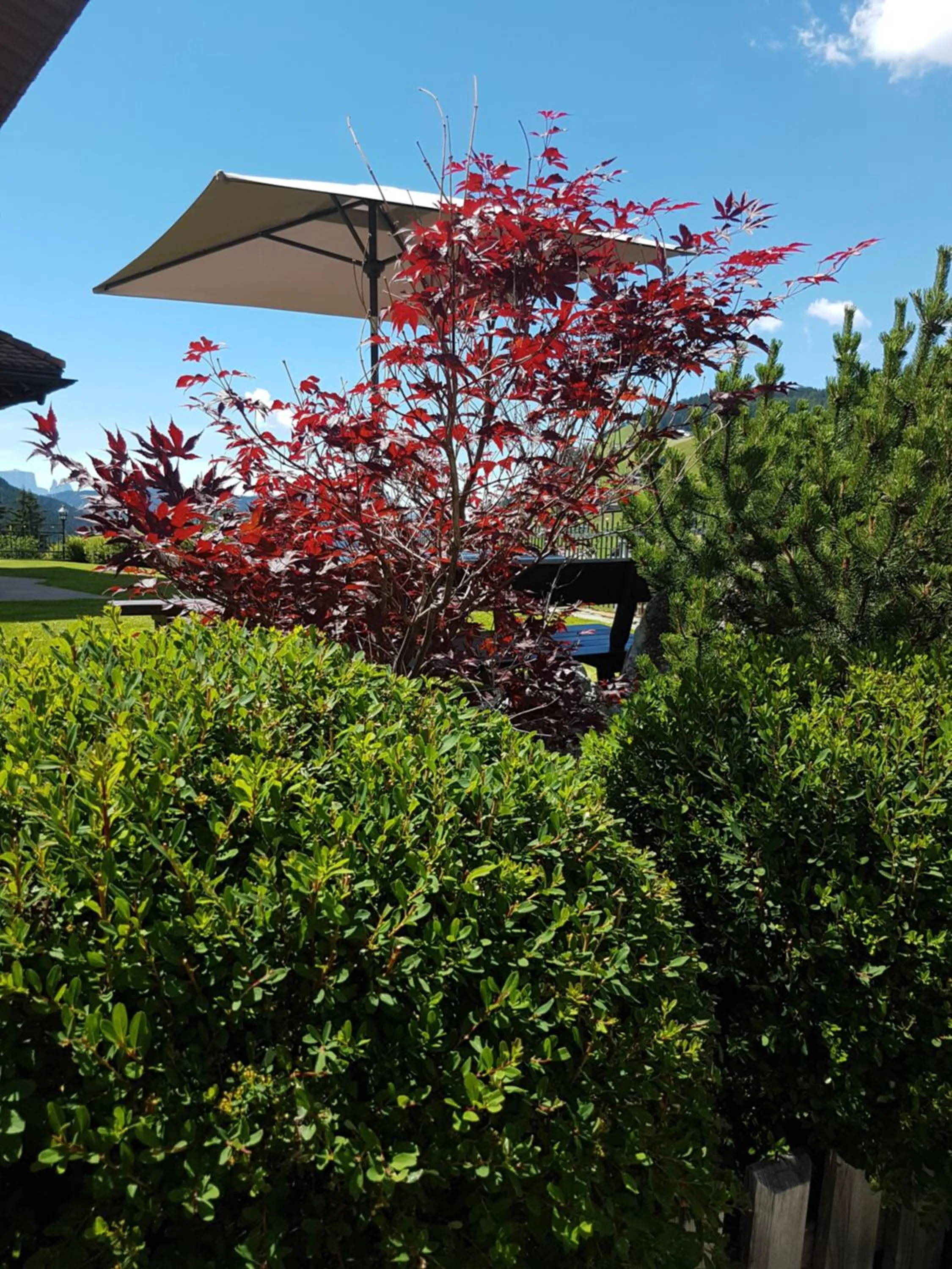 Garden in Garnì Villa Erna
