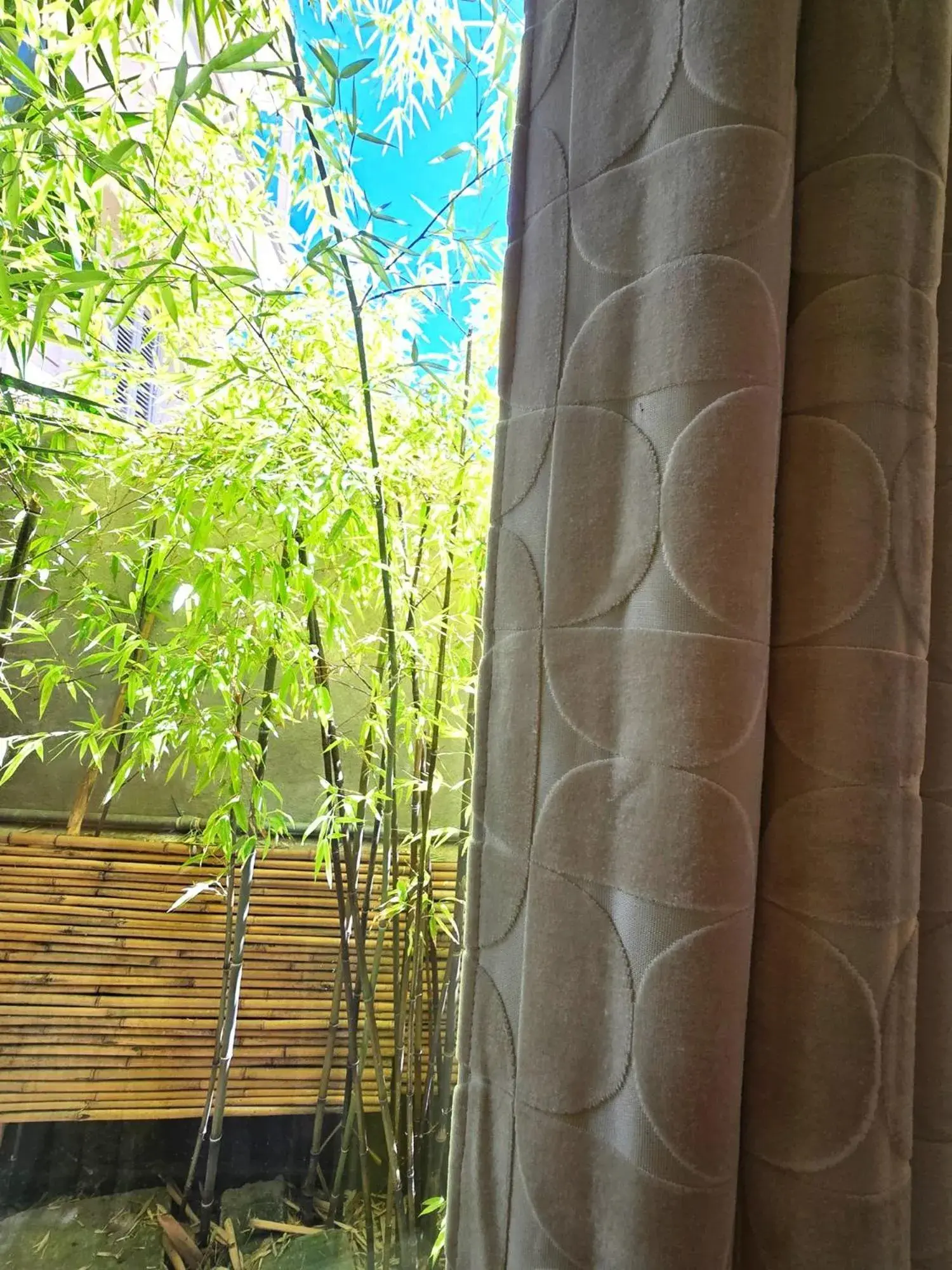 King Room with Garden View - single occupancy in Palm Gallery Hotel King Room with Garden View - single occupancy in Palm Gallery Hotel