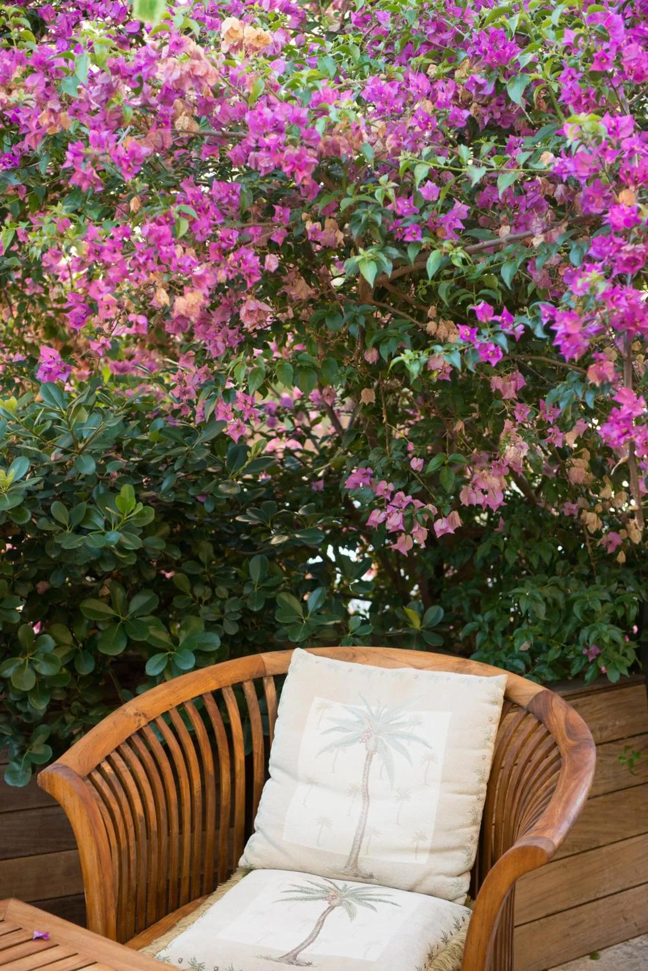 Balcony/Terrace in Palm Gallery Hotel