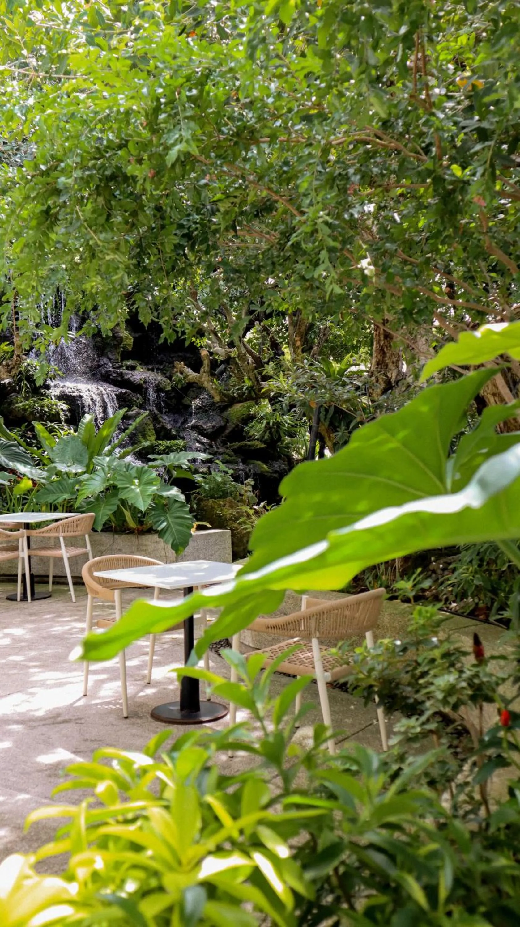 Restaurant/places to eat in Health Land Resort & Spa