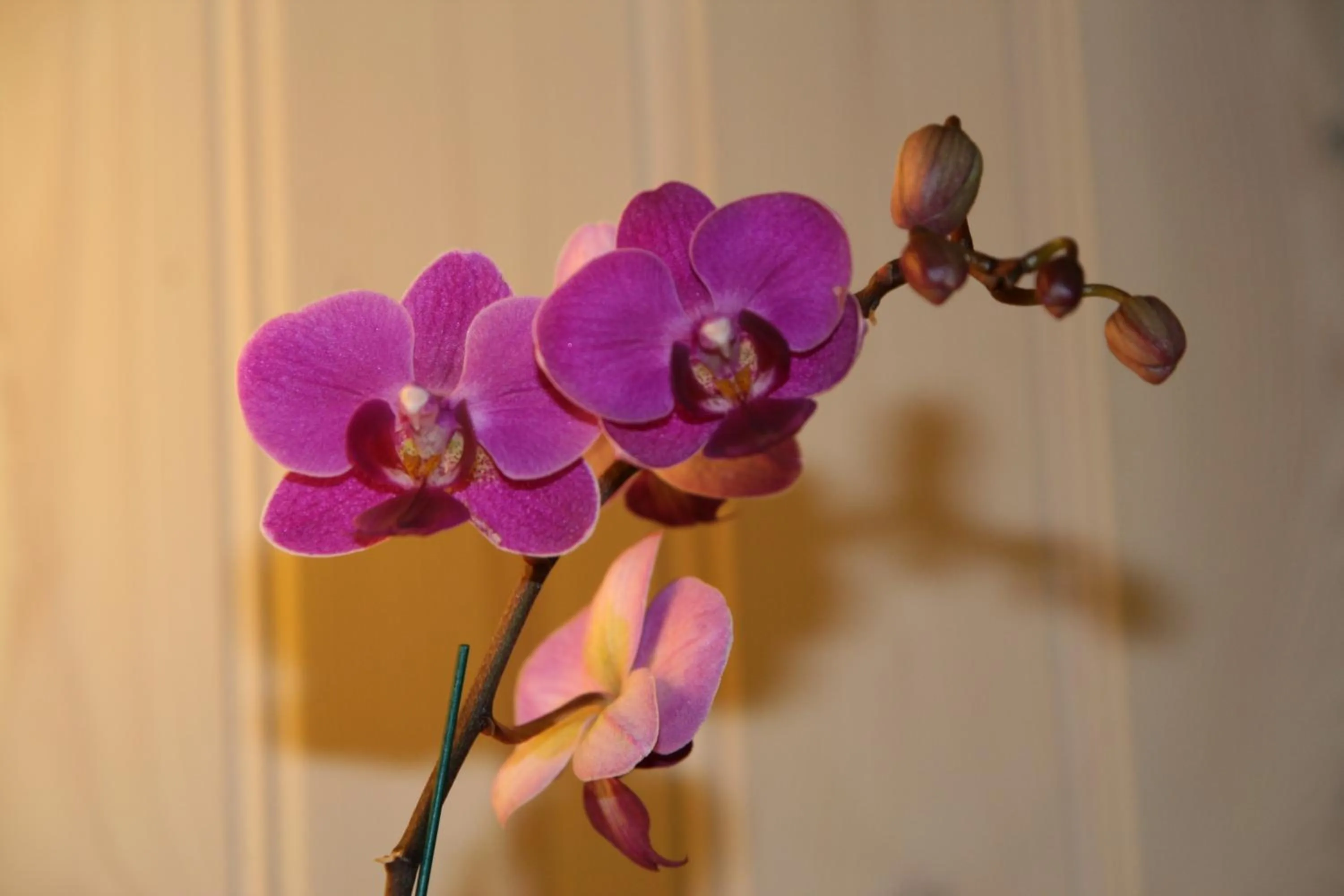 Other in Dalen Bed & Breakfast