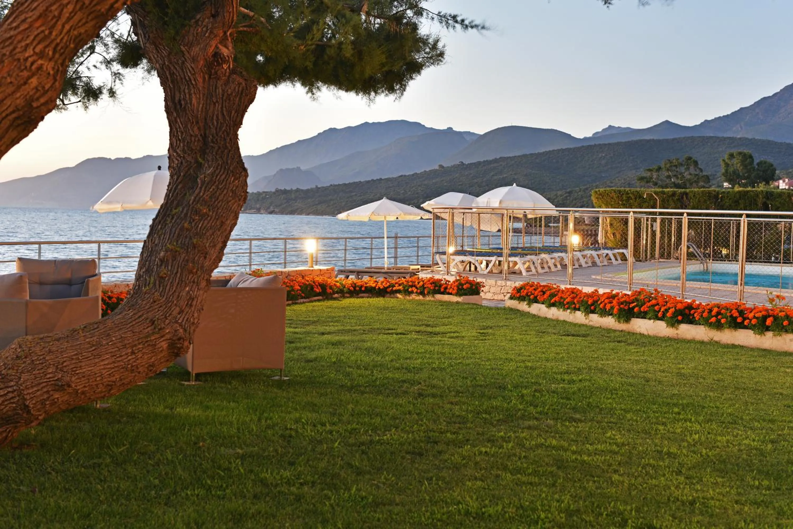 Garden in Hotel Tettola