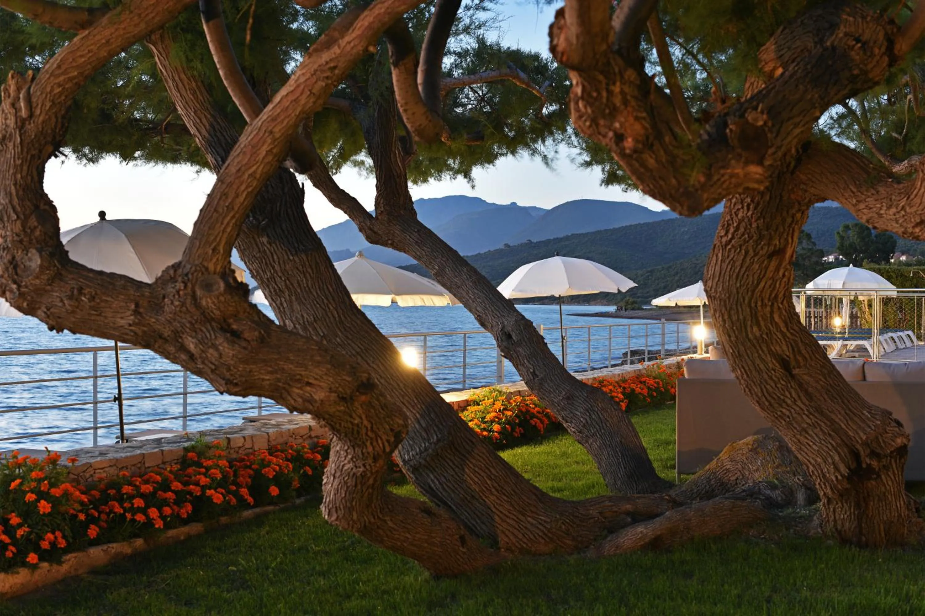 Garden in Hotel Tettola
