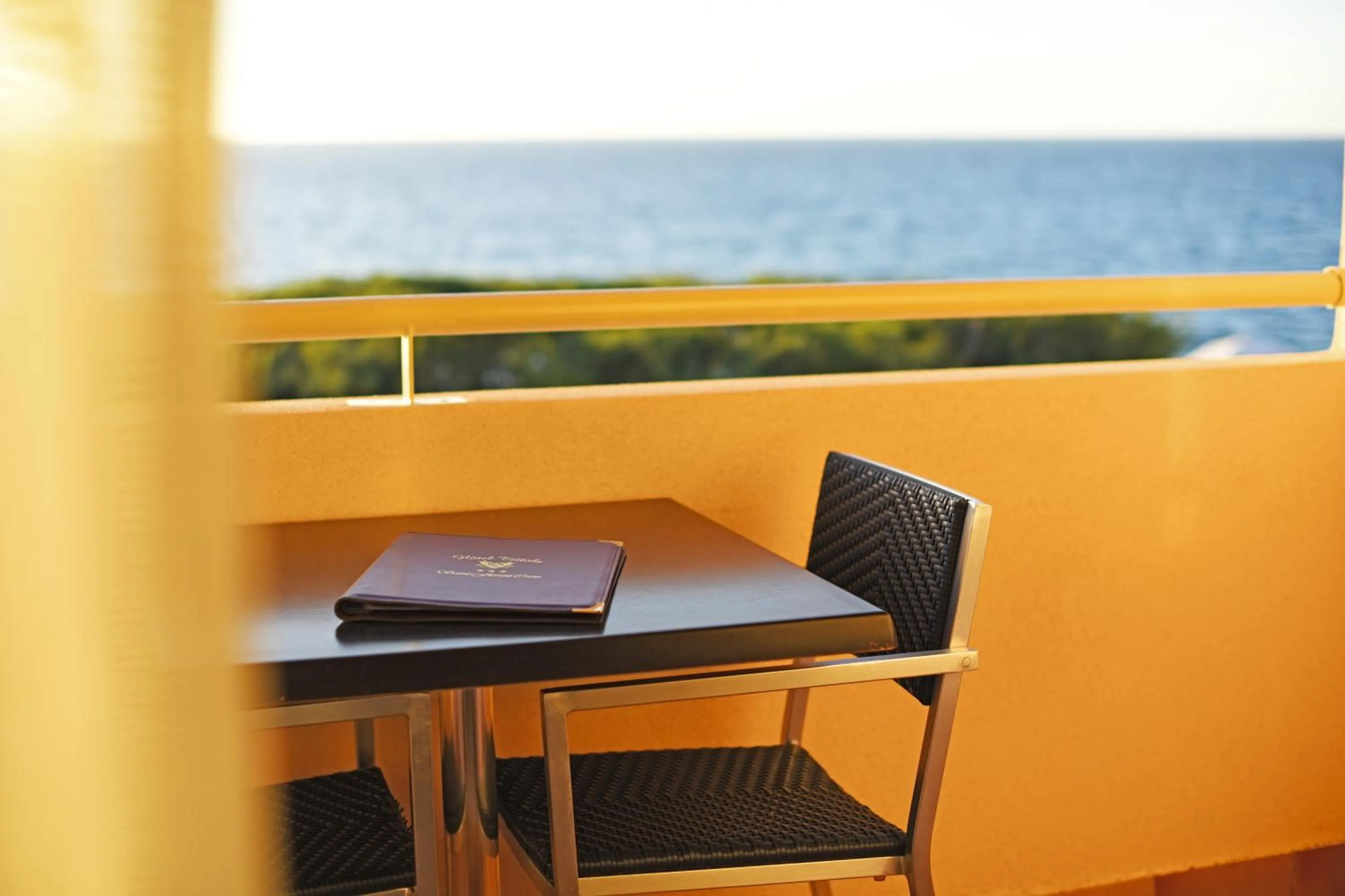 Balcony/Terrace in Hotel Tettola