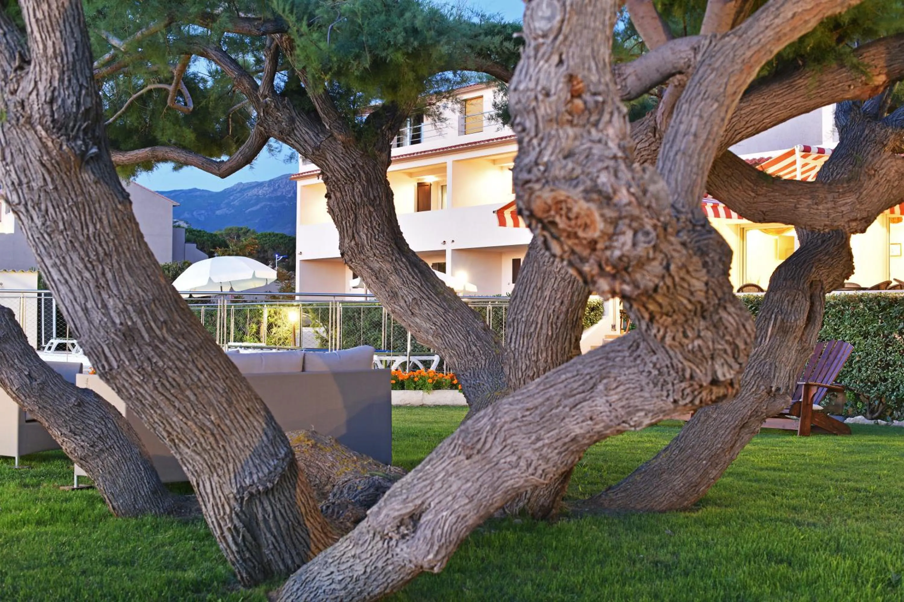 Garden in Hotel Tettola