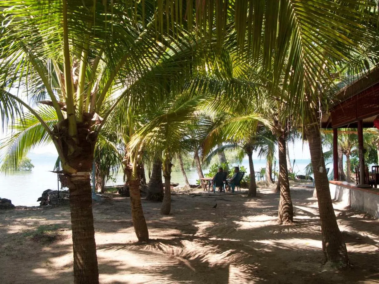 Restaurant/places to eat in SiBoya Bungalows