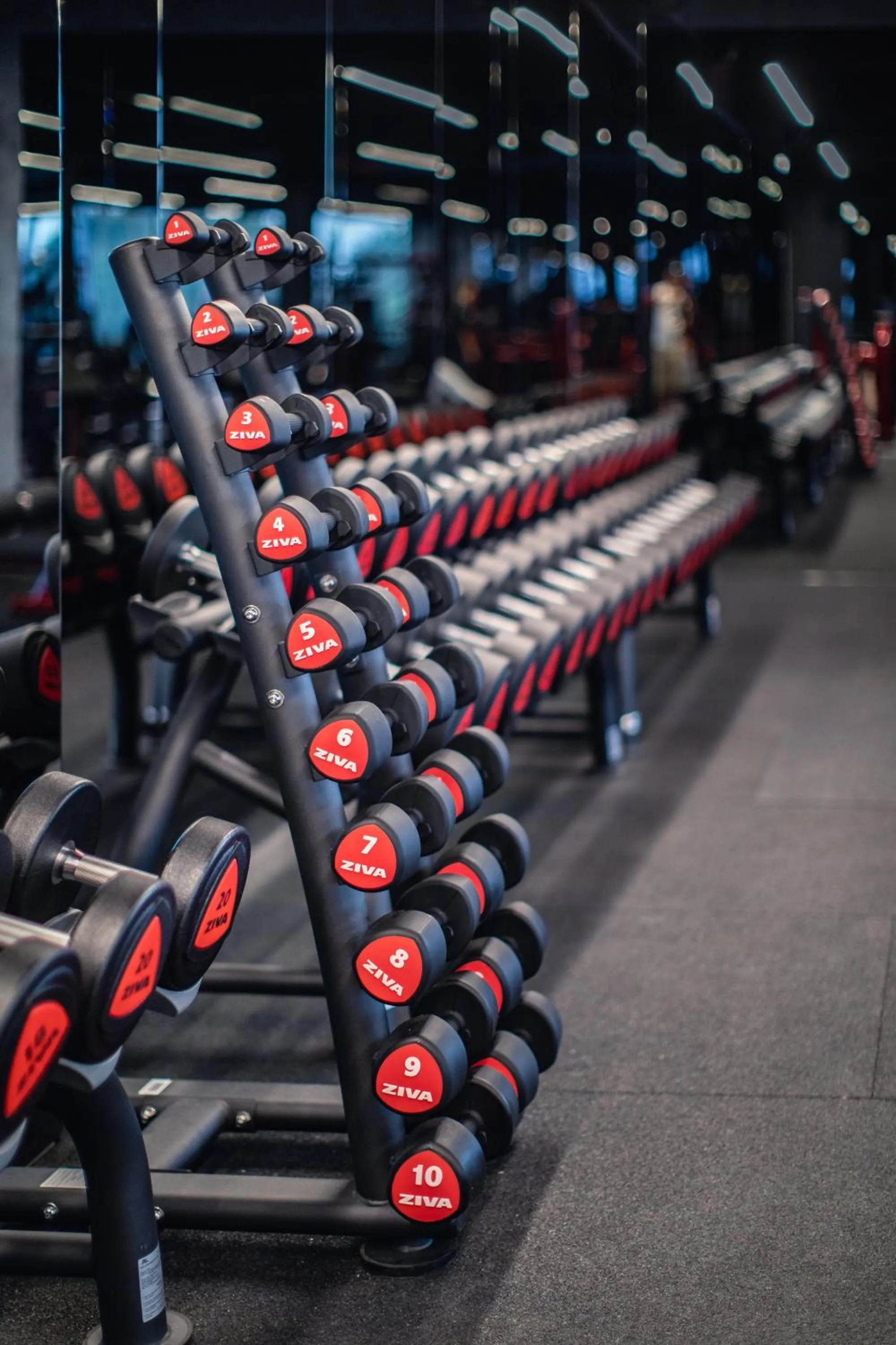 Fitness centre/facilities in NUTREND World