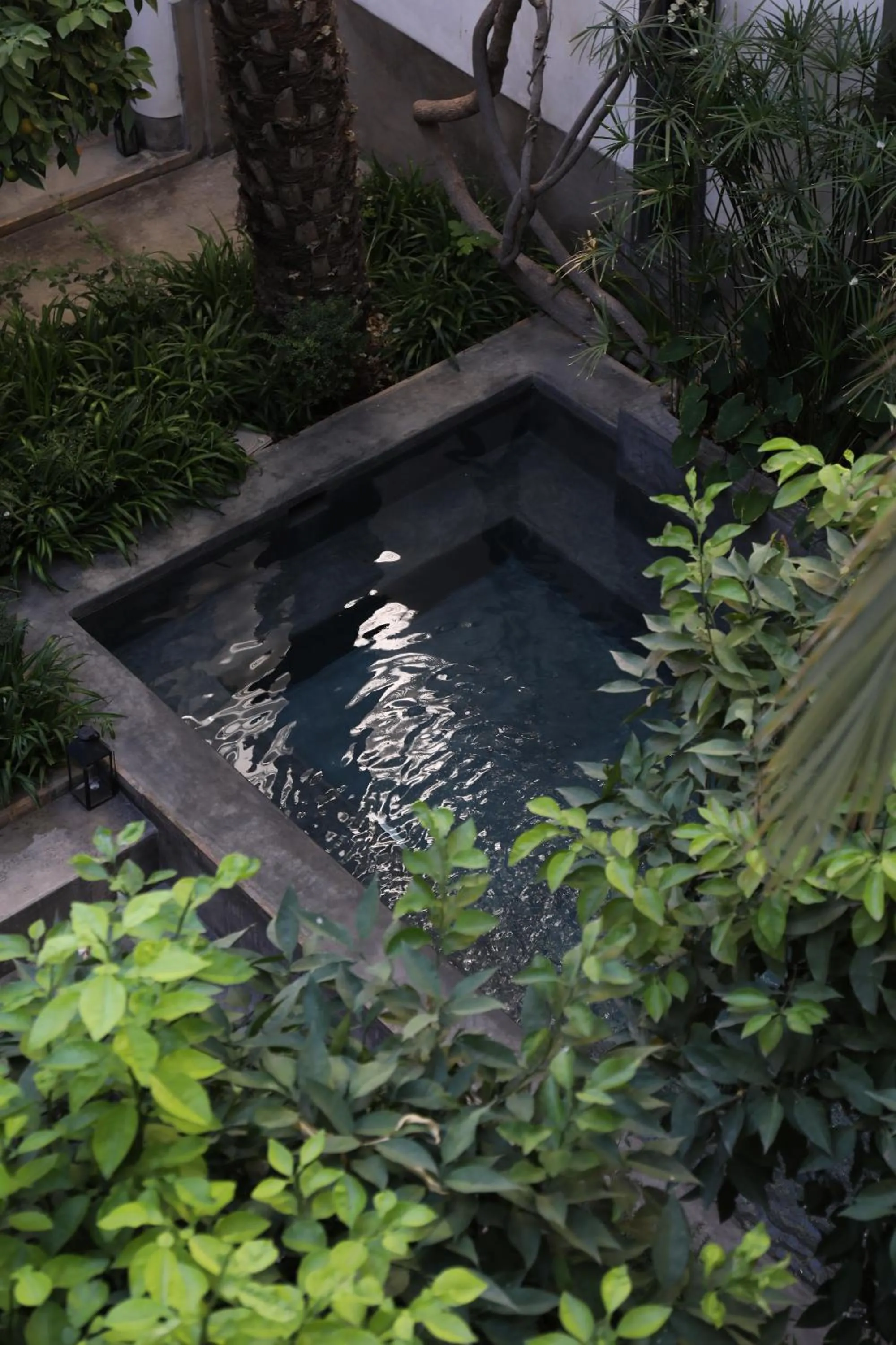 Swimming pool in Riad Zaouia 44