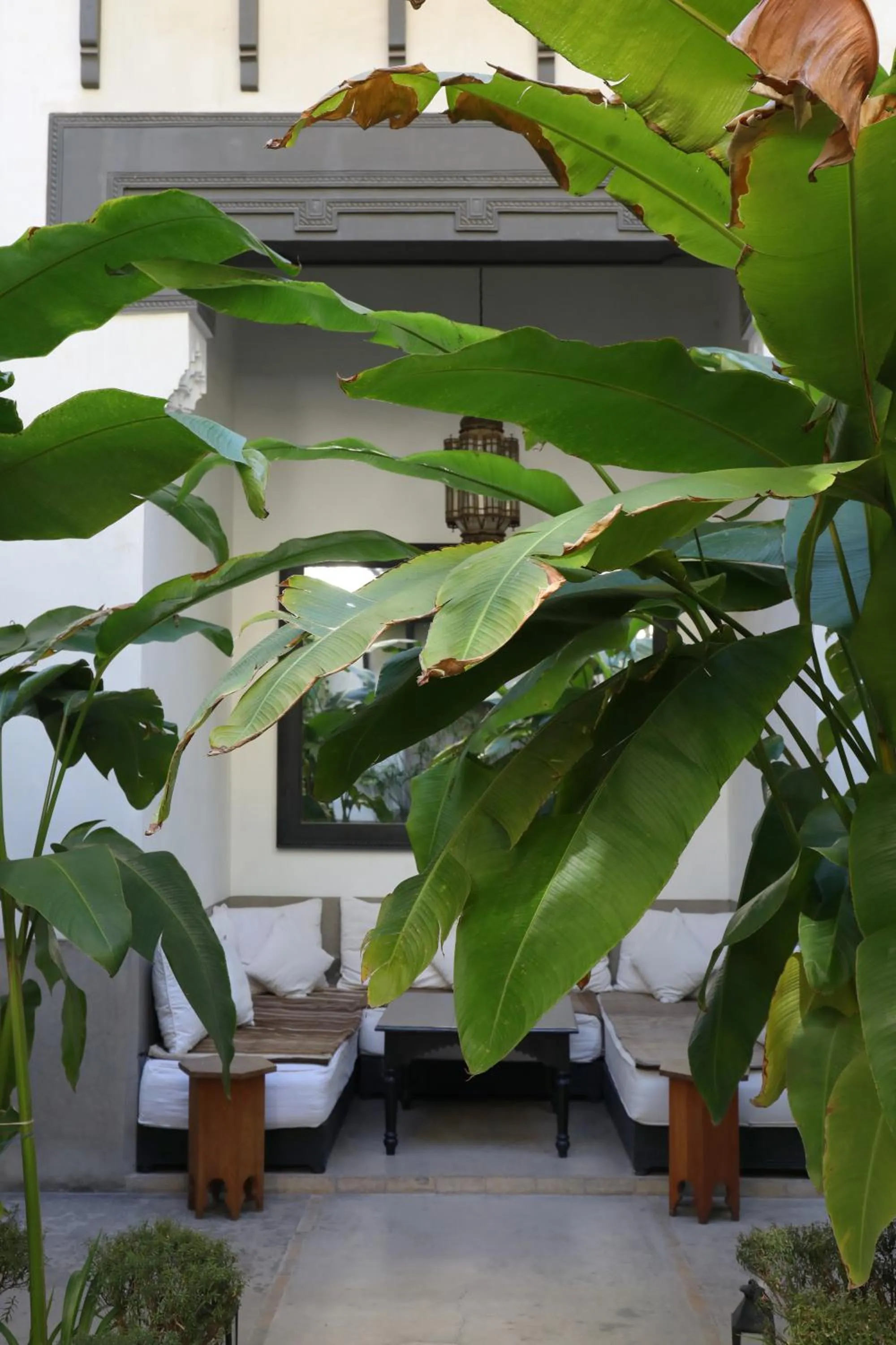 Patio in Riad Zaouia 44