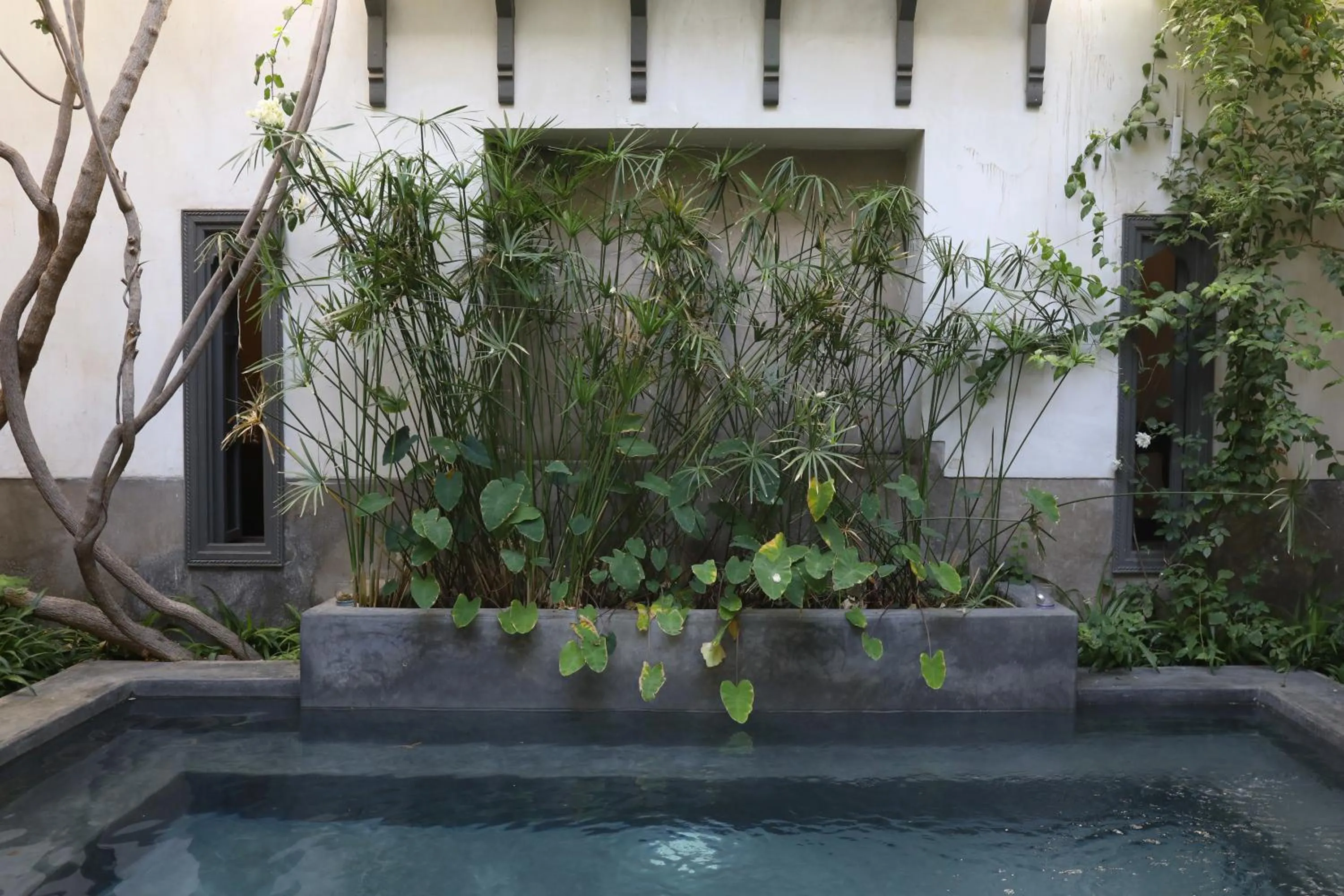 Swimming pool in Riad Zaouia 44