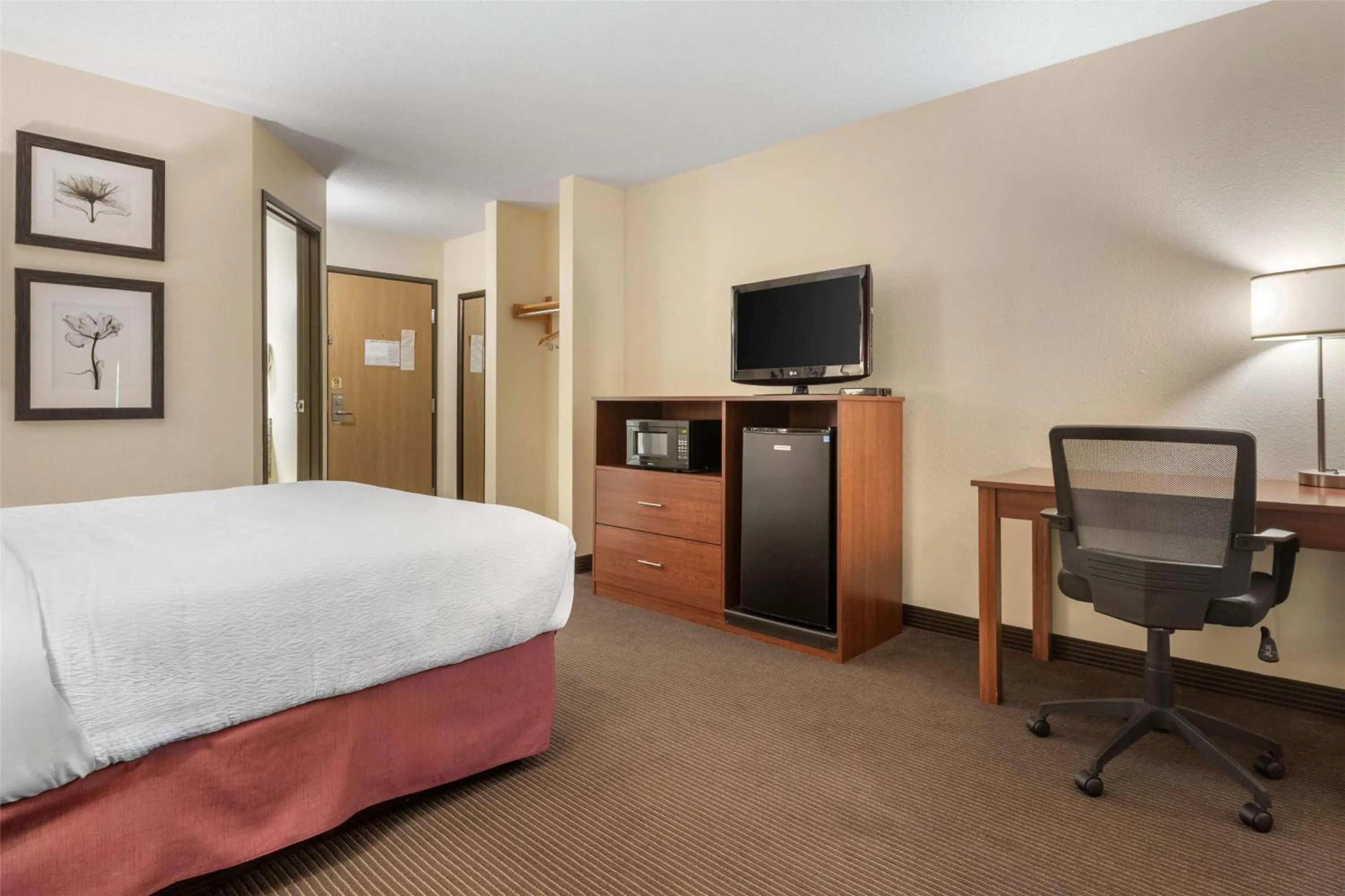 Bedroom, Bed in SureStay Plus Hotel by Best Western Litchfield