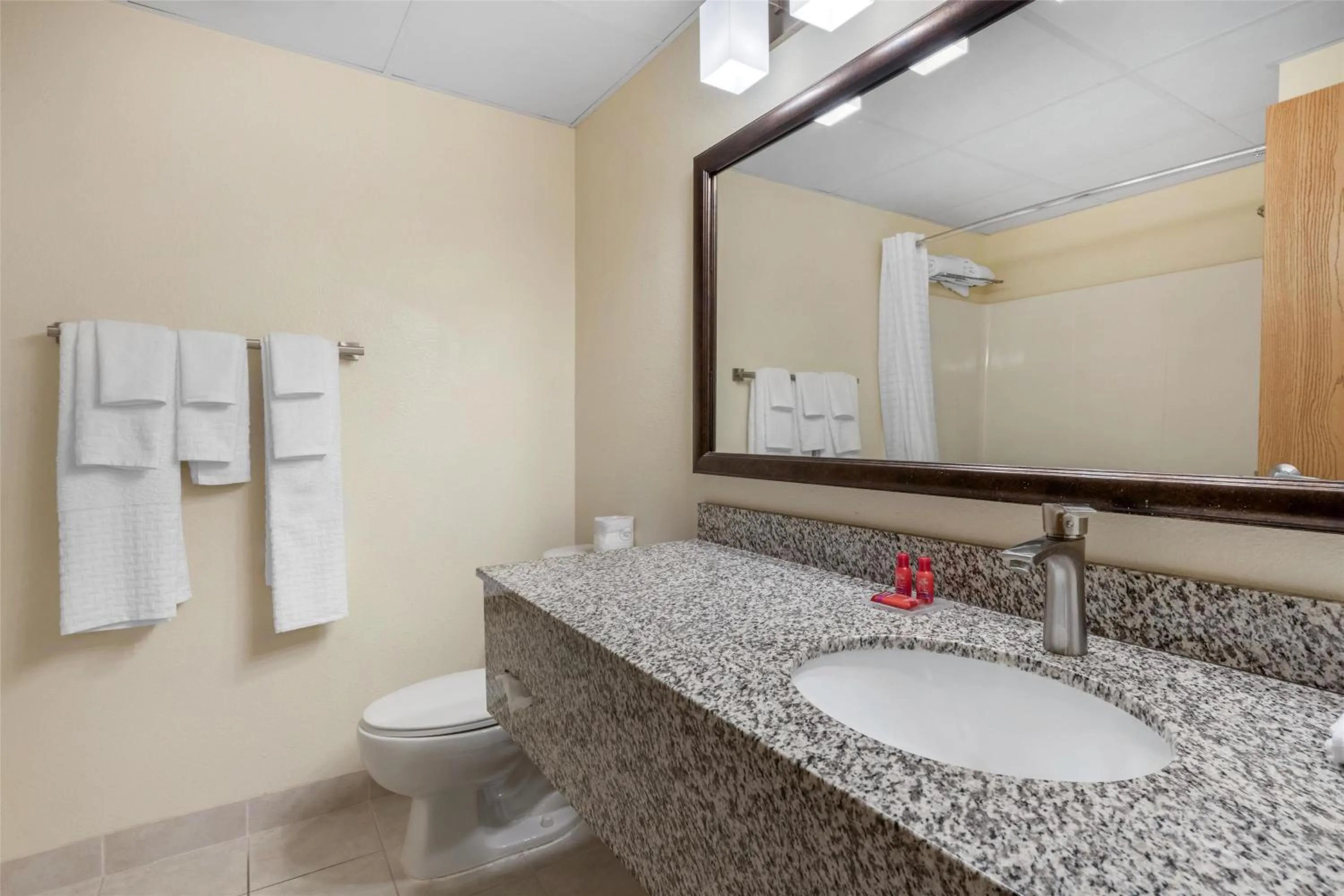 Bathroom in SureStay Plus Hotel by Best Western Litchfield
