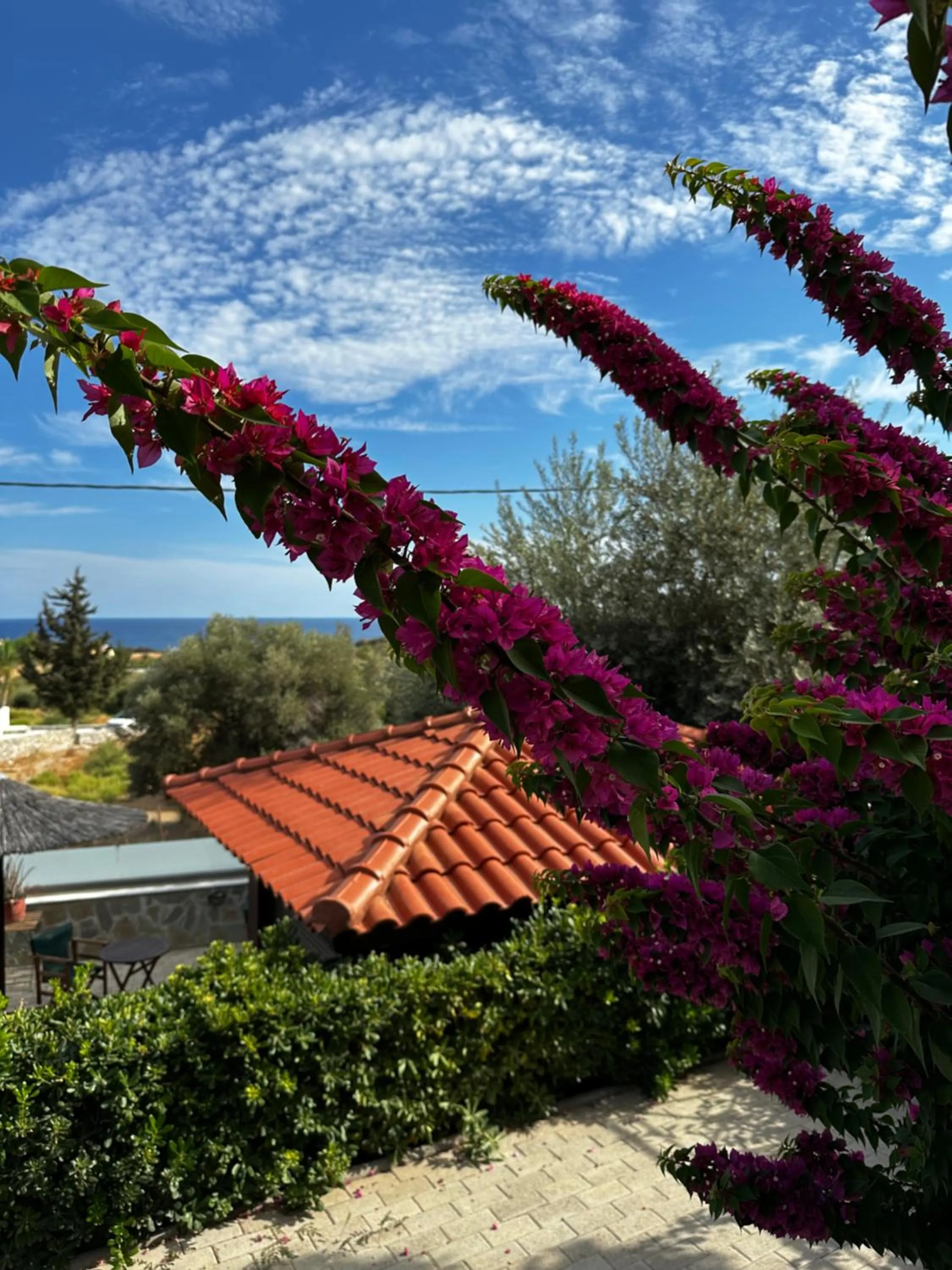 Southern Dreams Apartments