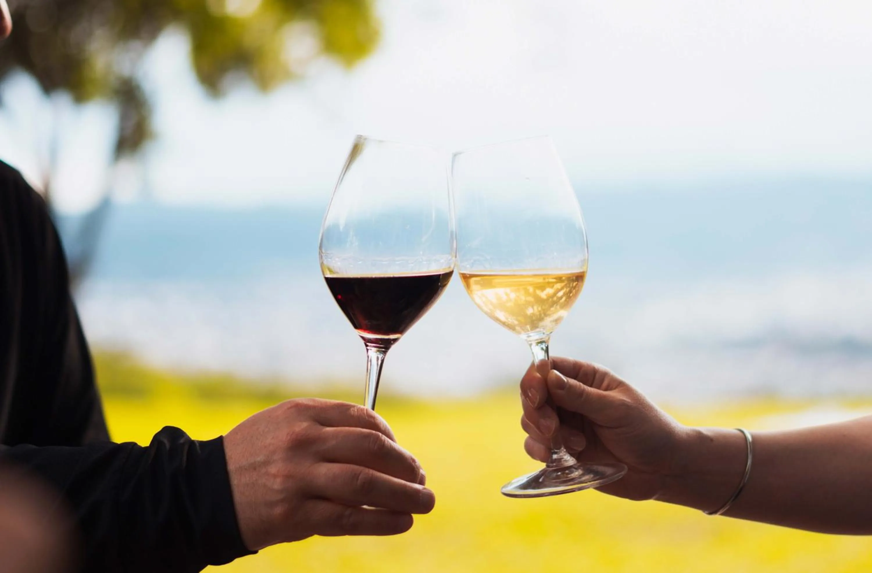 Alcoholic drinks in Altos de la Viña, Wine Hotel & Spa