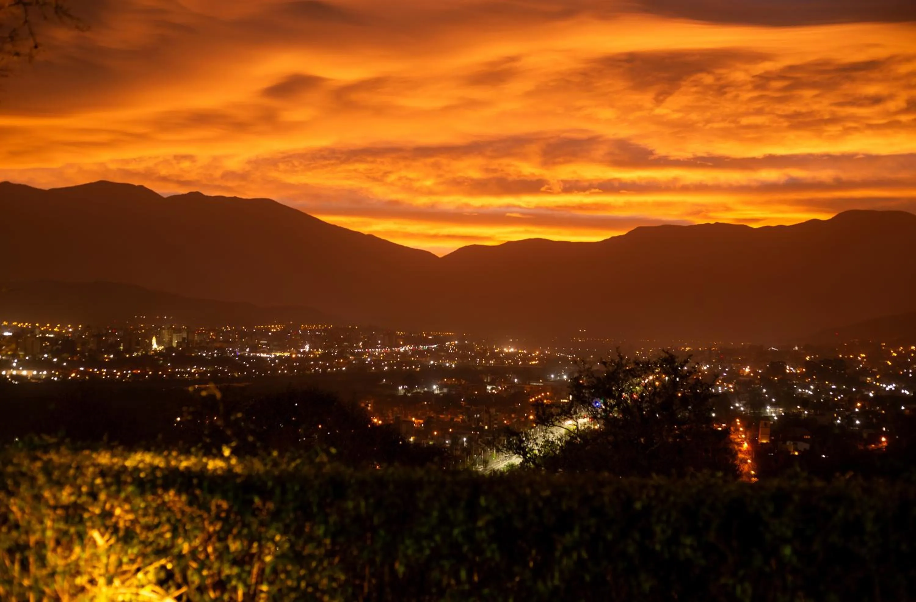 Bird's eye view in Altos de la Viña, Wine Hotel & Spa