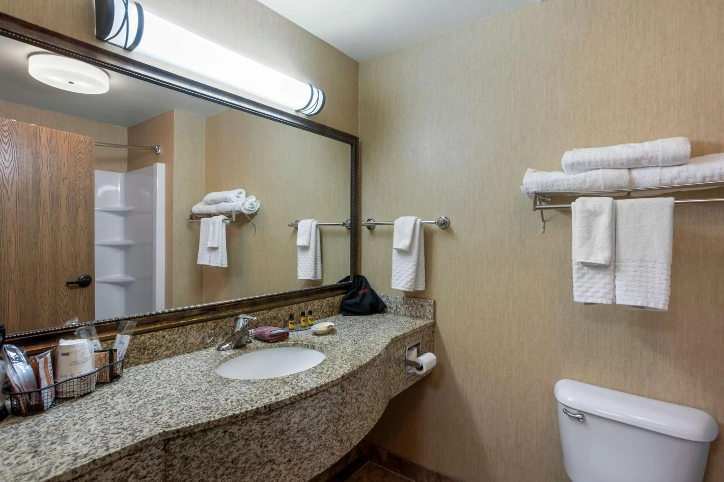 Bathroom in Best Western Plus Capital Inn