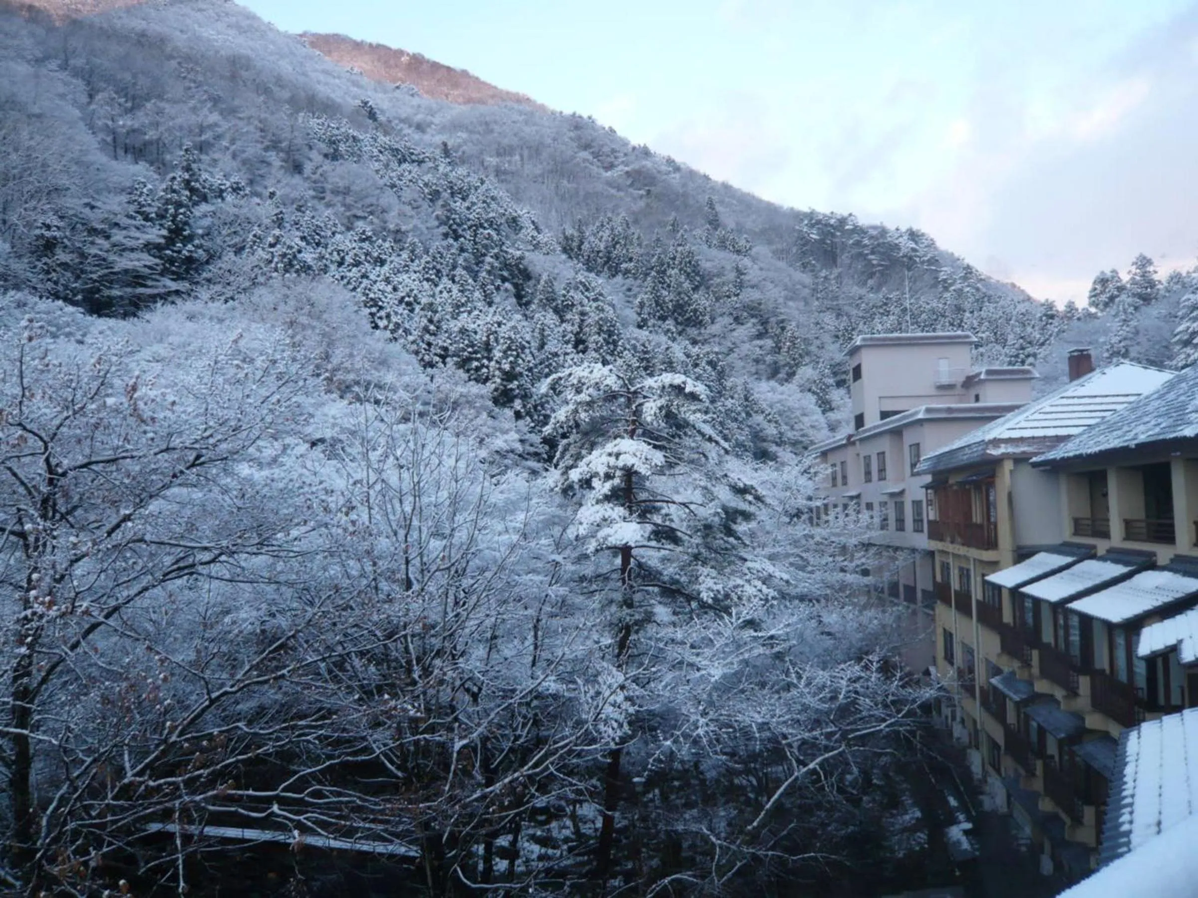 Property building in Kinseikan Seseragi