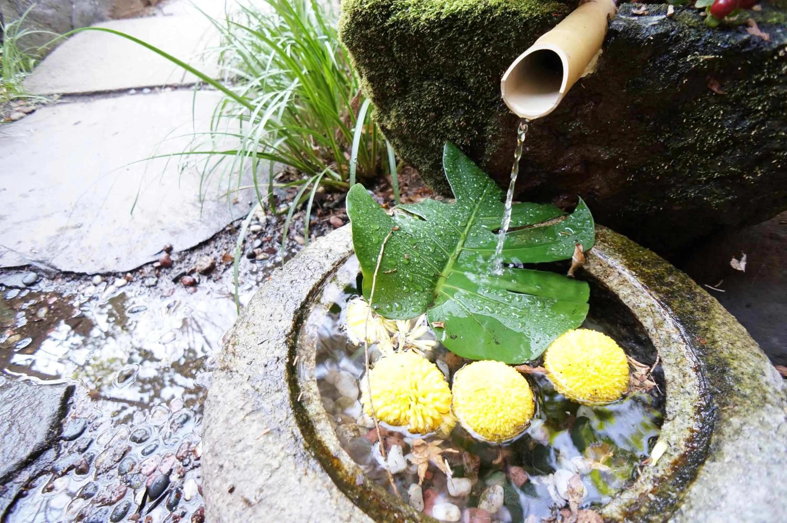 Other in Yufu Ryochiku