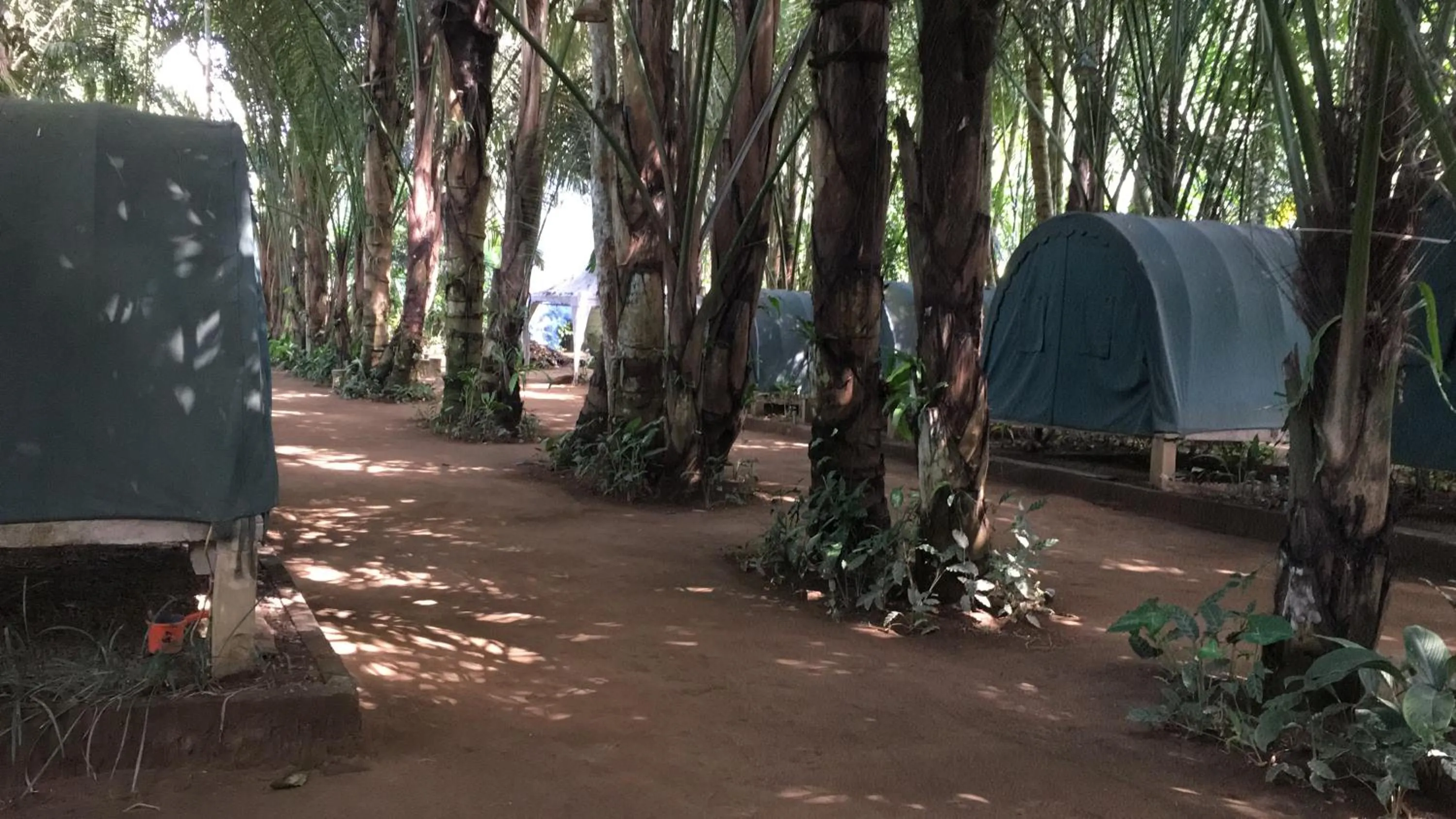 Garden in Tegal Dukuh Camp