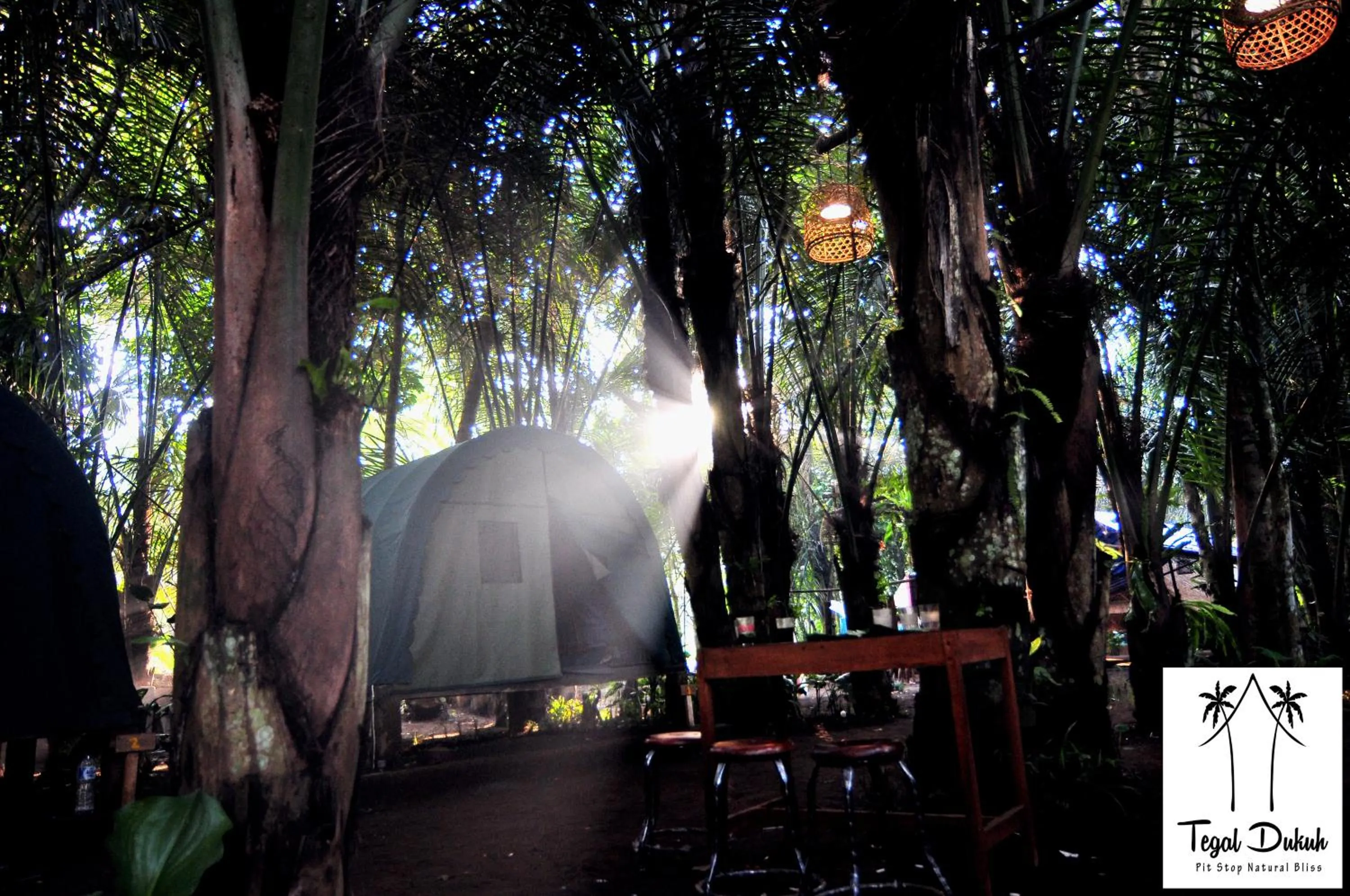 Garden view in Tegal Dukuh Camp