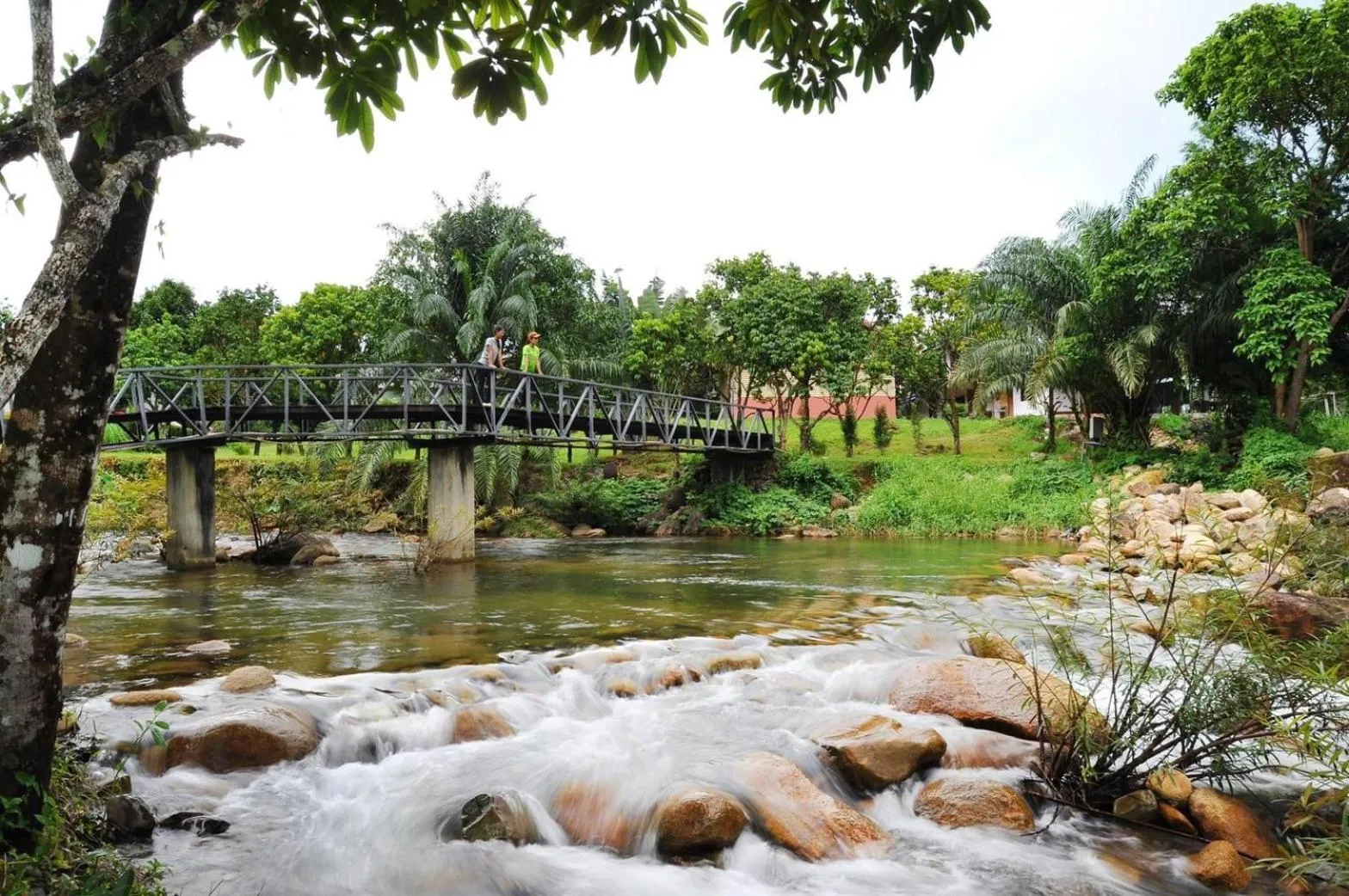 View (from property/room) in Akantuka Homestay